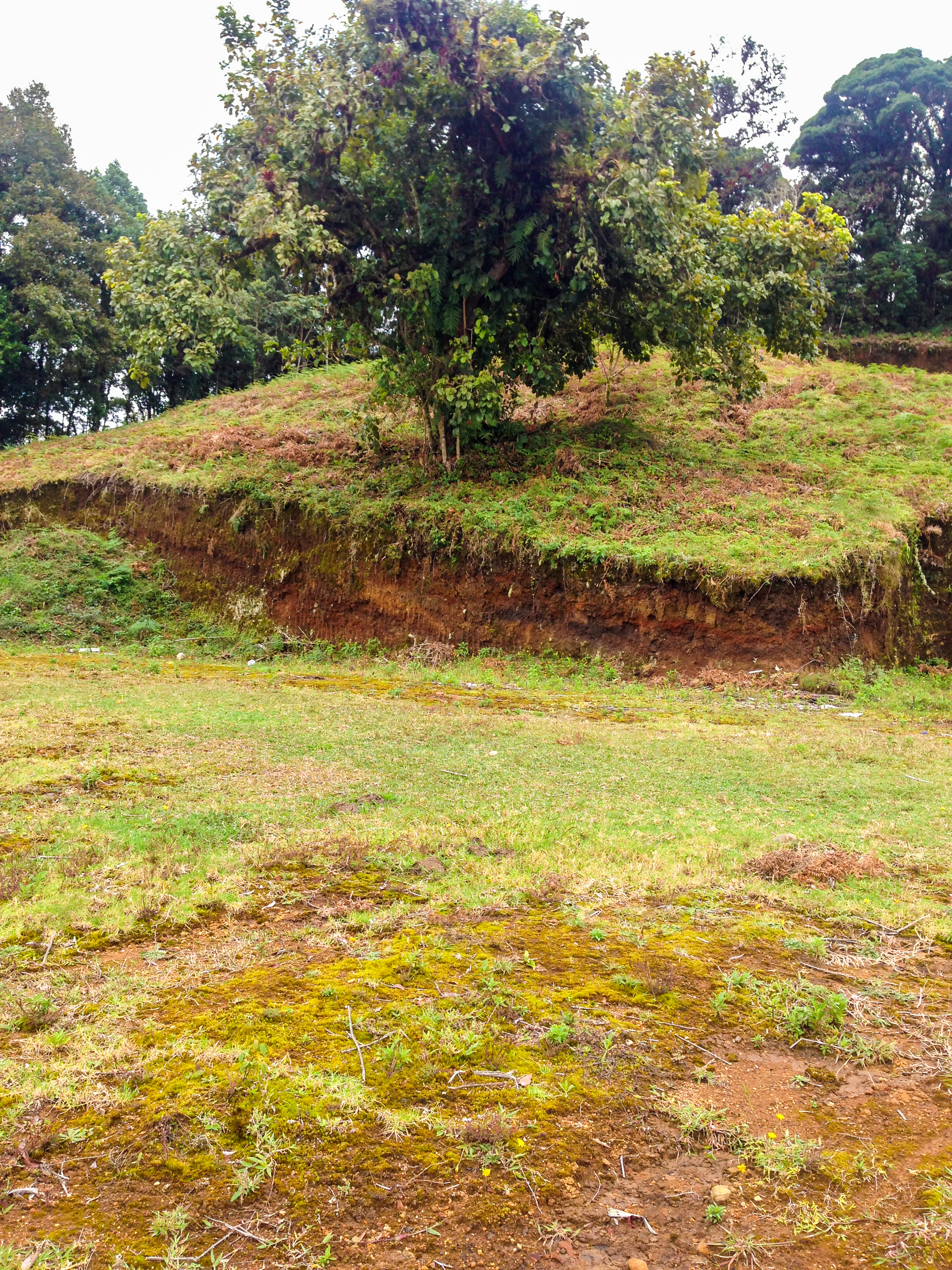 0 bed Land For Sale in Desamparados, San Jose - thumb 7