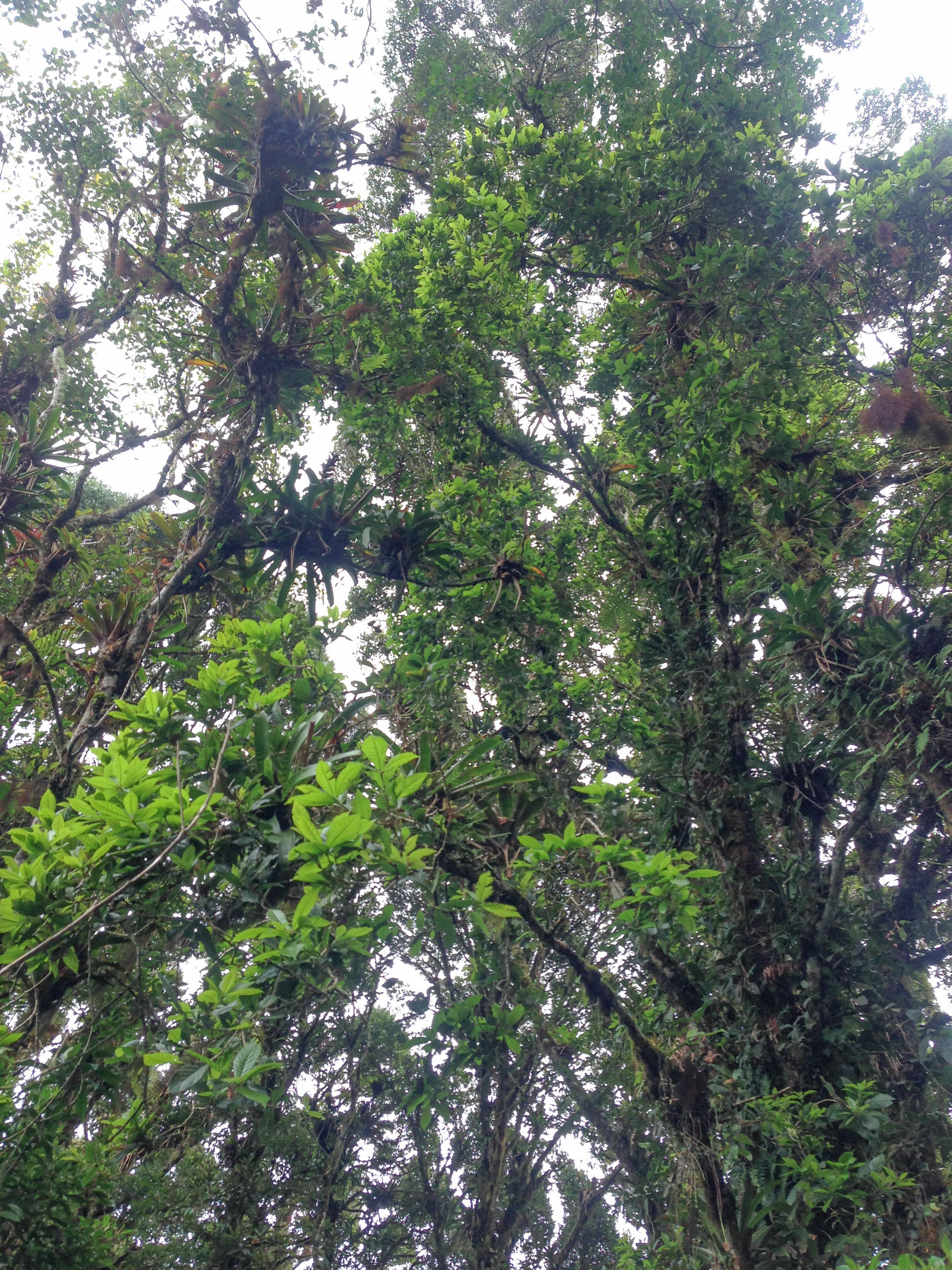 0 bed Land For Sale in Desamparados, San Jose - thumb 10