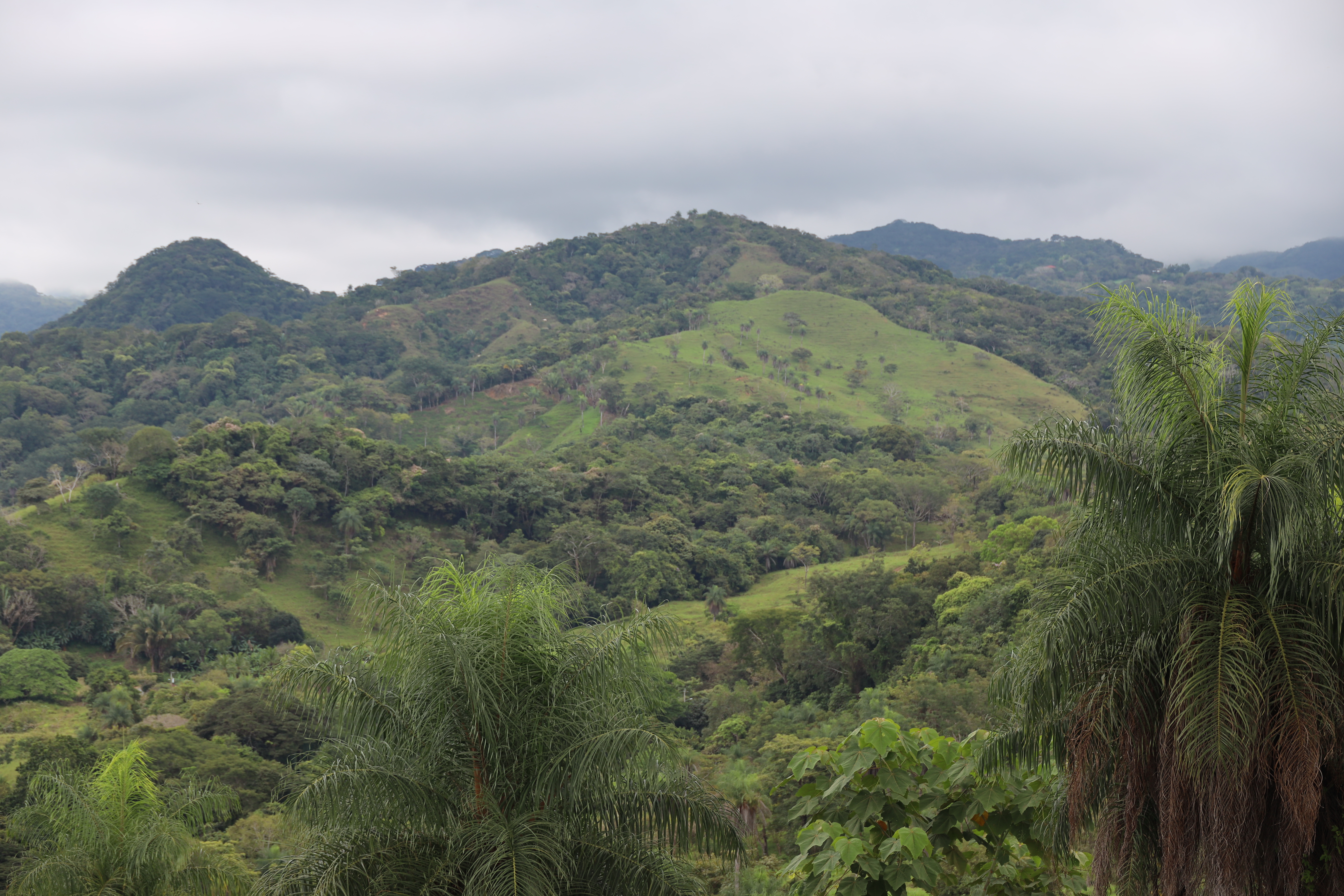 1 bed Land For Sale in Monteverde, Puntarenas - thumb 16