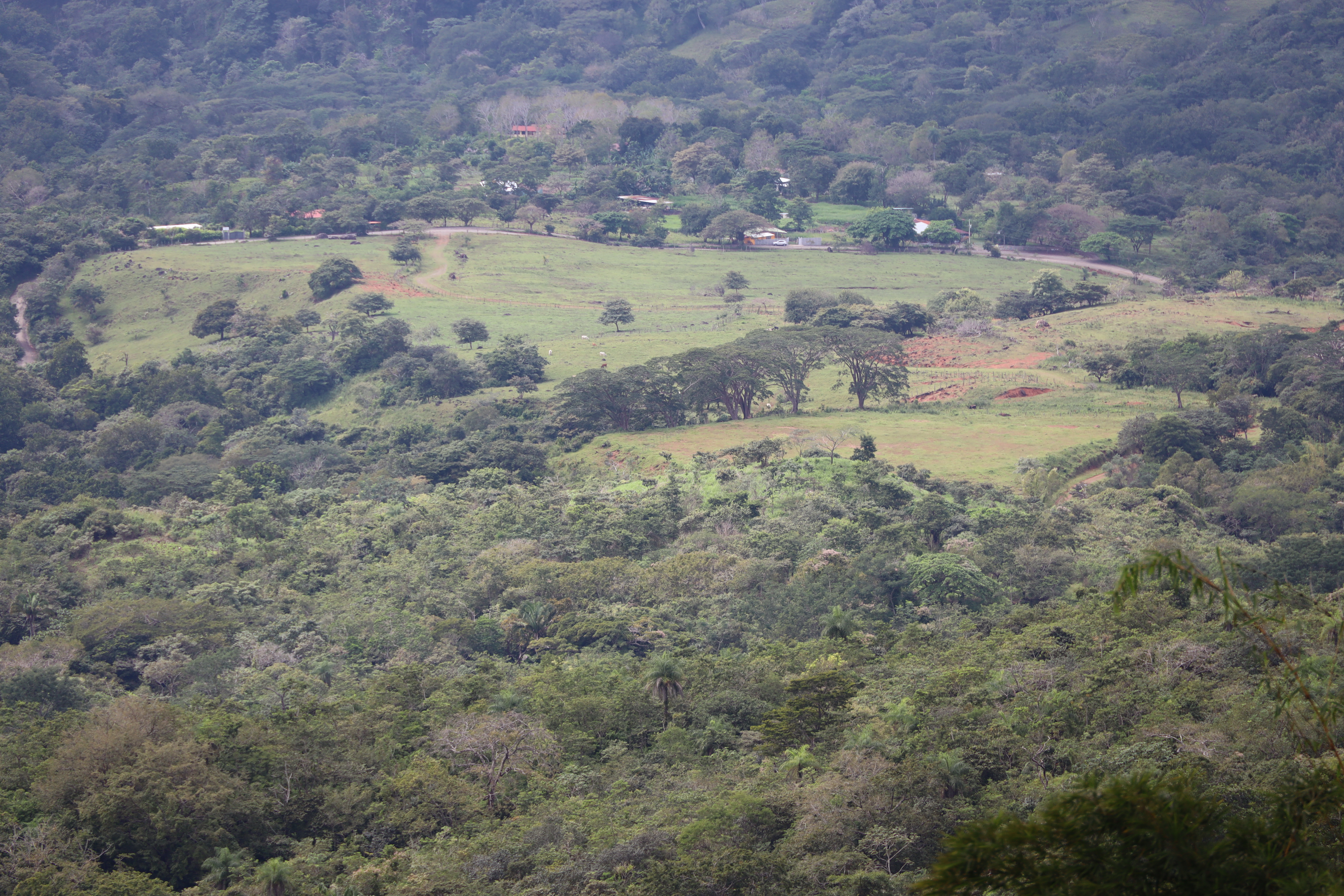 1 bed Land For Sale in Monteverde, Puntarenas - thumb 26