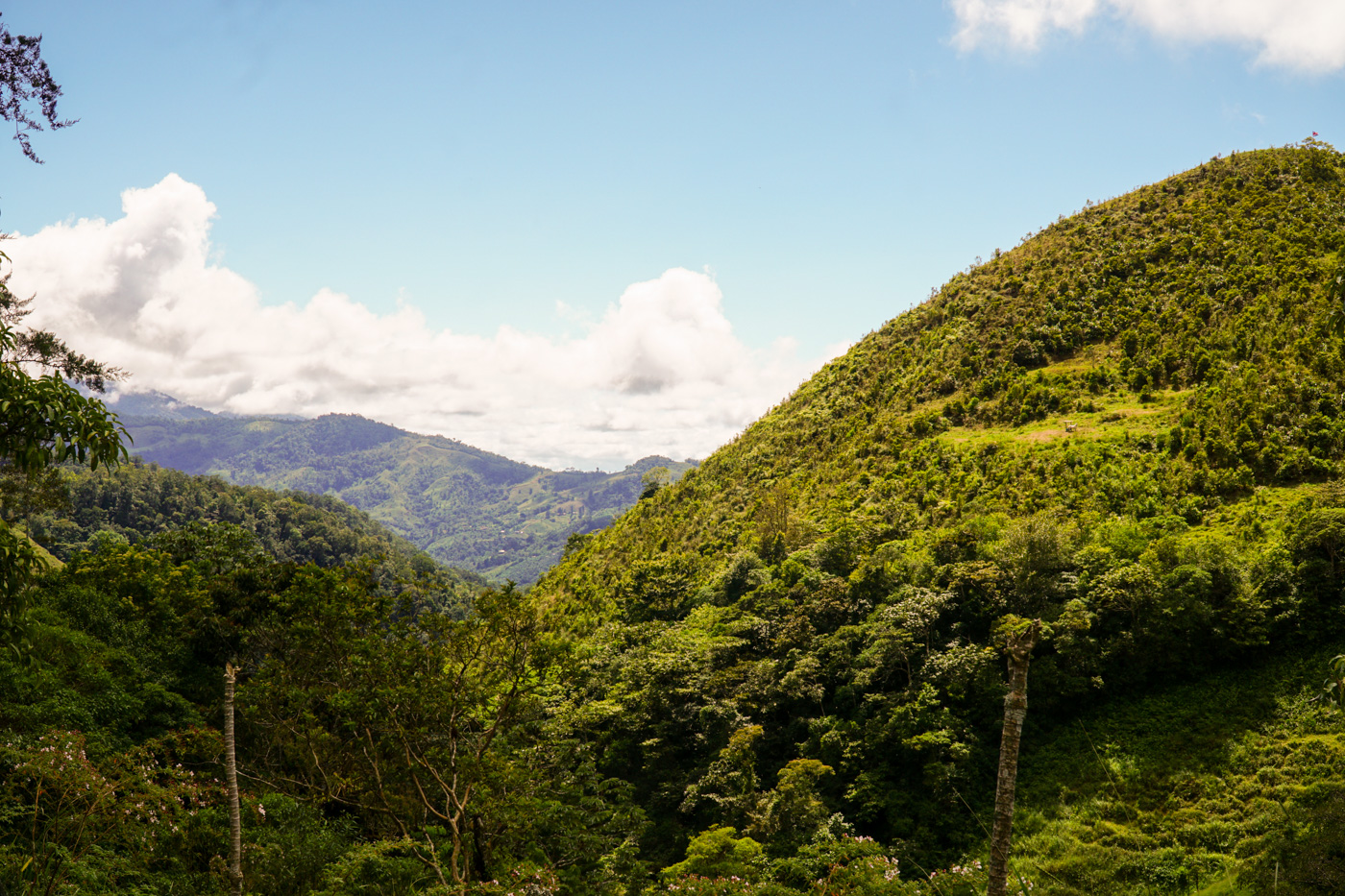 0 bed Land For Sale in Perez Zeledon, San Jose - thumb 4