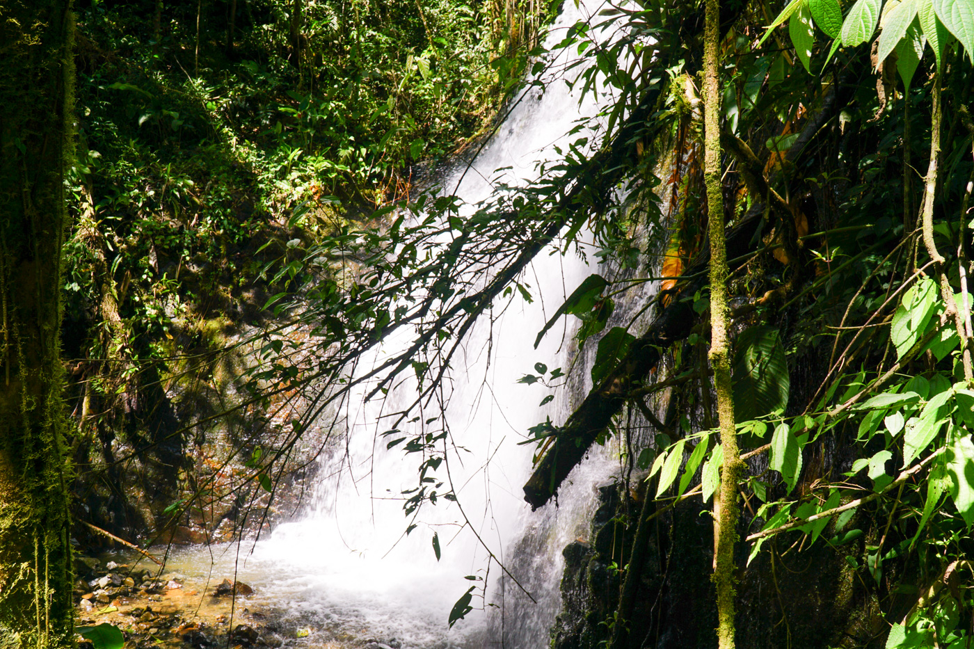 0 bed Land For Sale in Perez Zeledon, San Jose - thumb 12