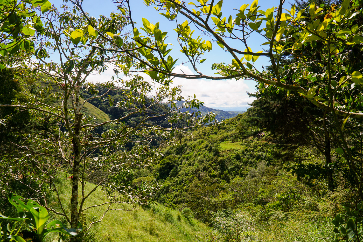 0 bed Land For Sale in Perez Zeledon, San Jose - thumb 1