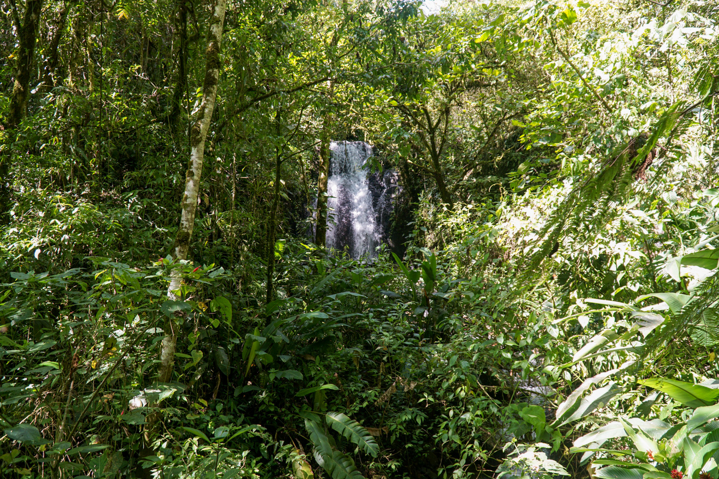 0 bed Land For Sale in Perez Zeledon, San Jose - thumb 17