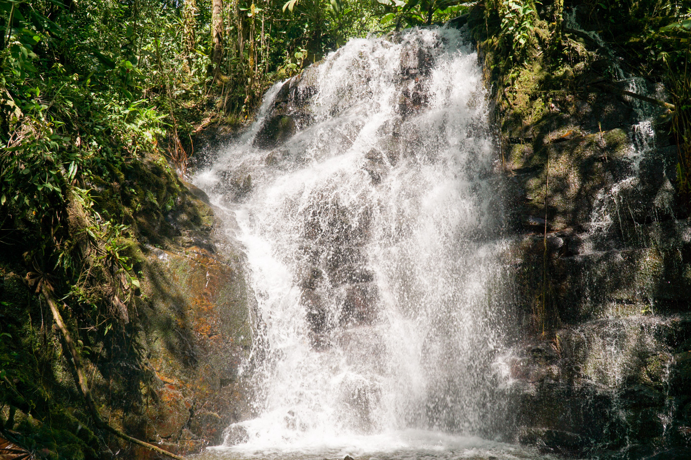 0 bed Land For Sale in Perez Zeledon, San Jose - thumb 14