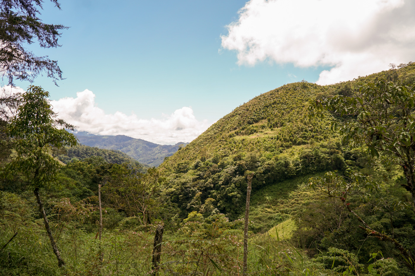 0 bed Land For Sale in Perez Zeledon, San Jose - thumb 3