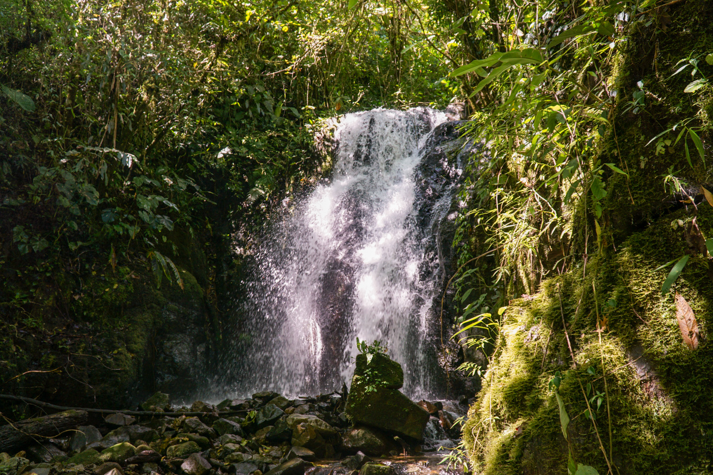 0 bed Land For Sale in Perez Zeledon, San Jose - thumb 2