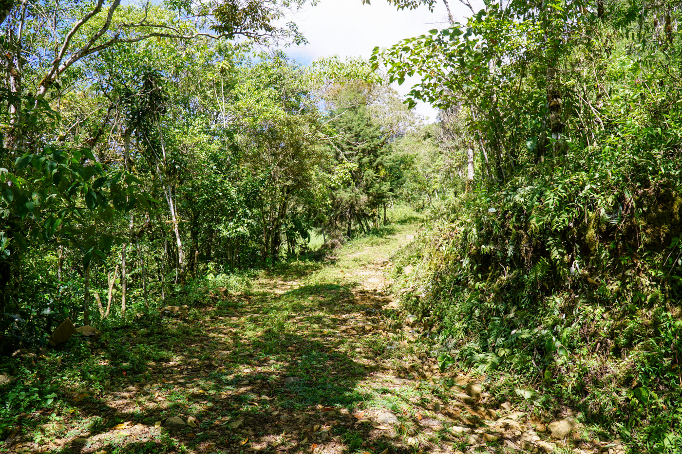 0 bed Land For Sale in Perez Zeledon, San Jose - thumb 18