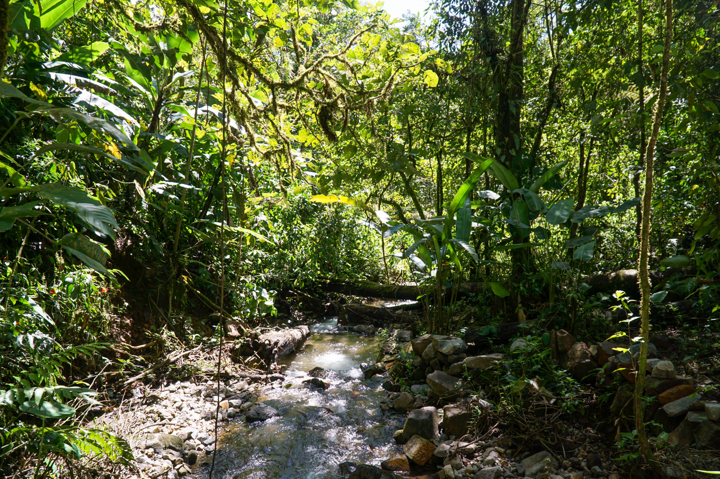 0 bed Land For Sale in Perez Zeledon, San Jose - thumb 13