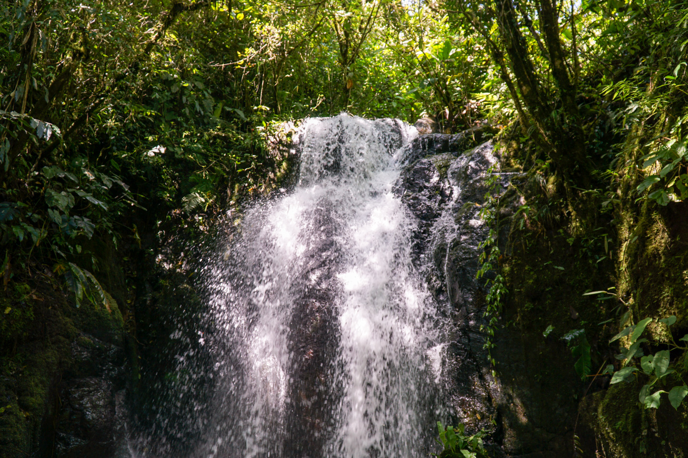 0 bed Land For Sale in Perez Zeledon, San Jose - thumb 16