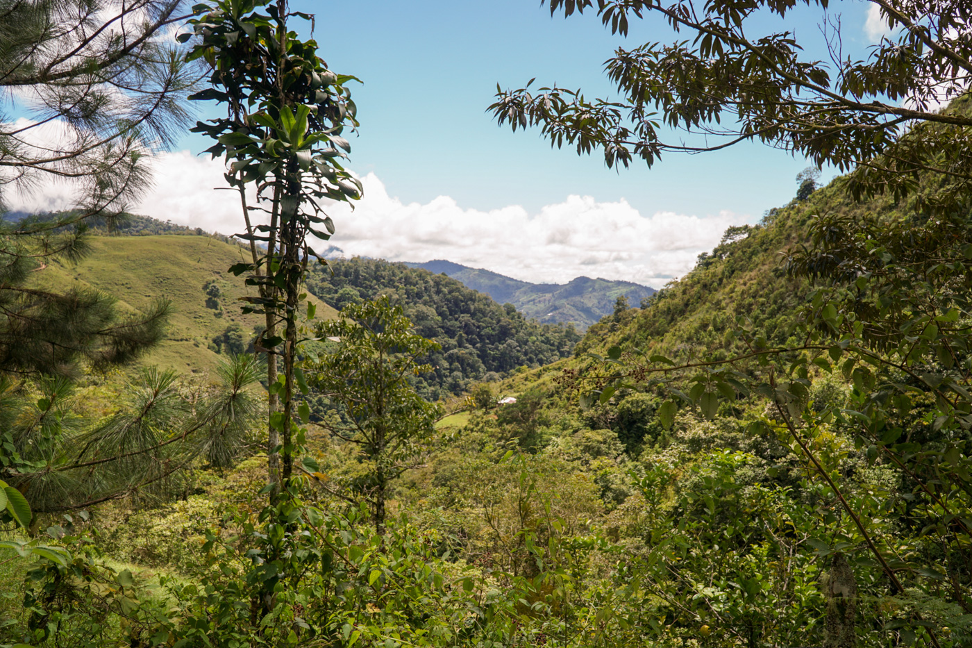 0 bed Land For Sale in Perez Zeledon, San Jose - thumb 5