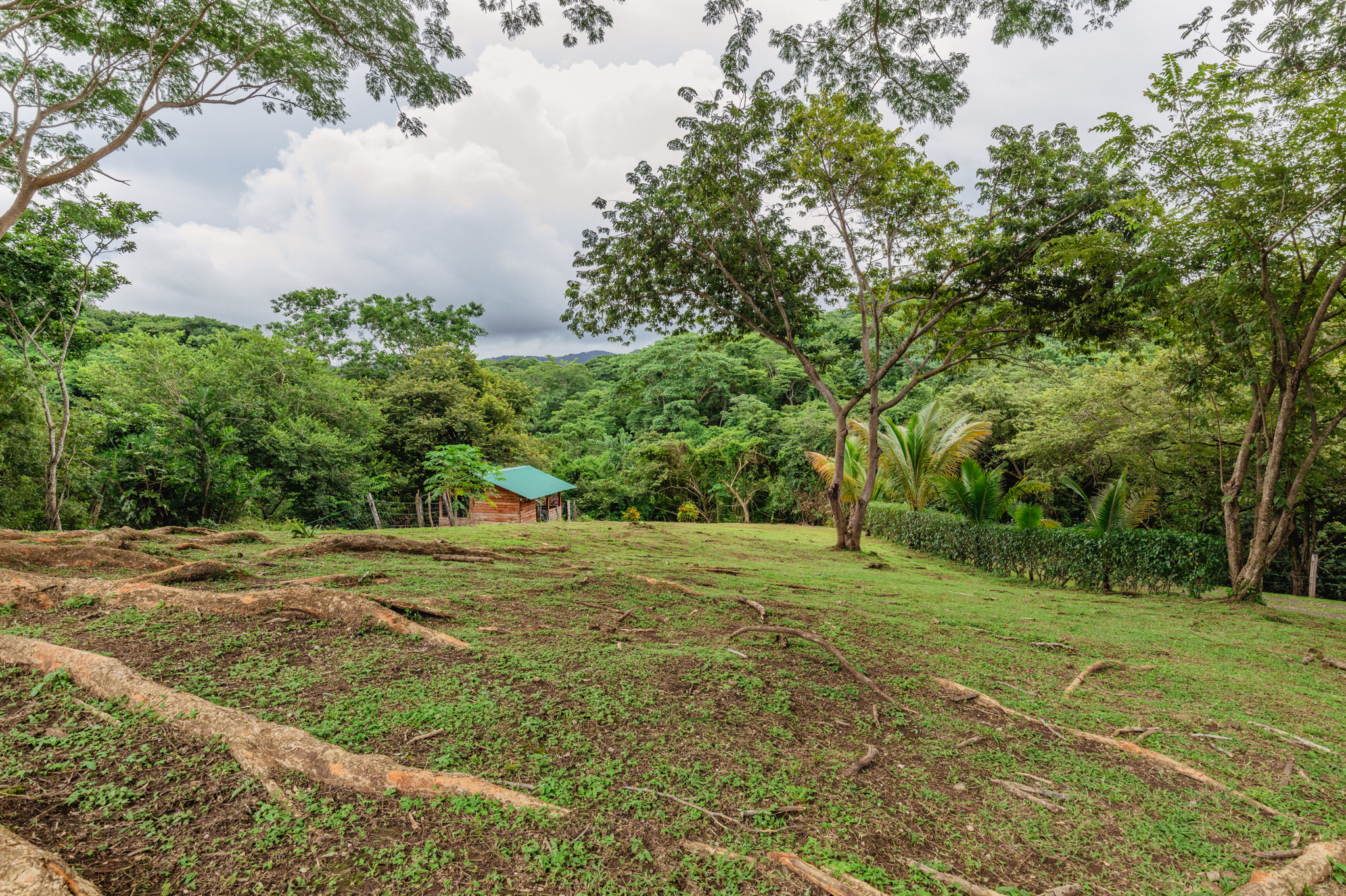 2 bed Single Family Homes For Sale in Nosara, Guanacaste - thumb 17