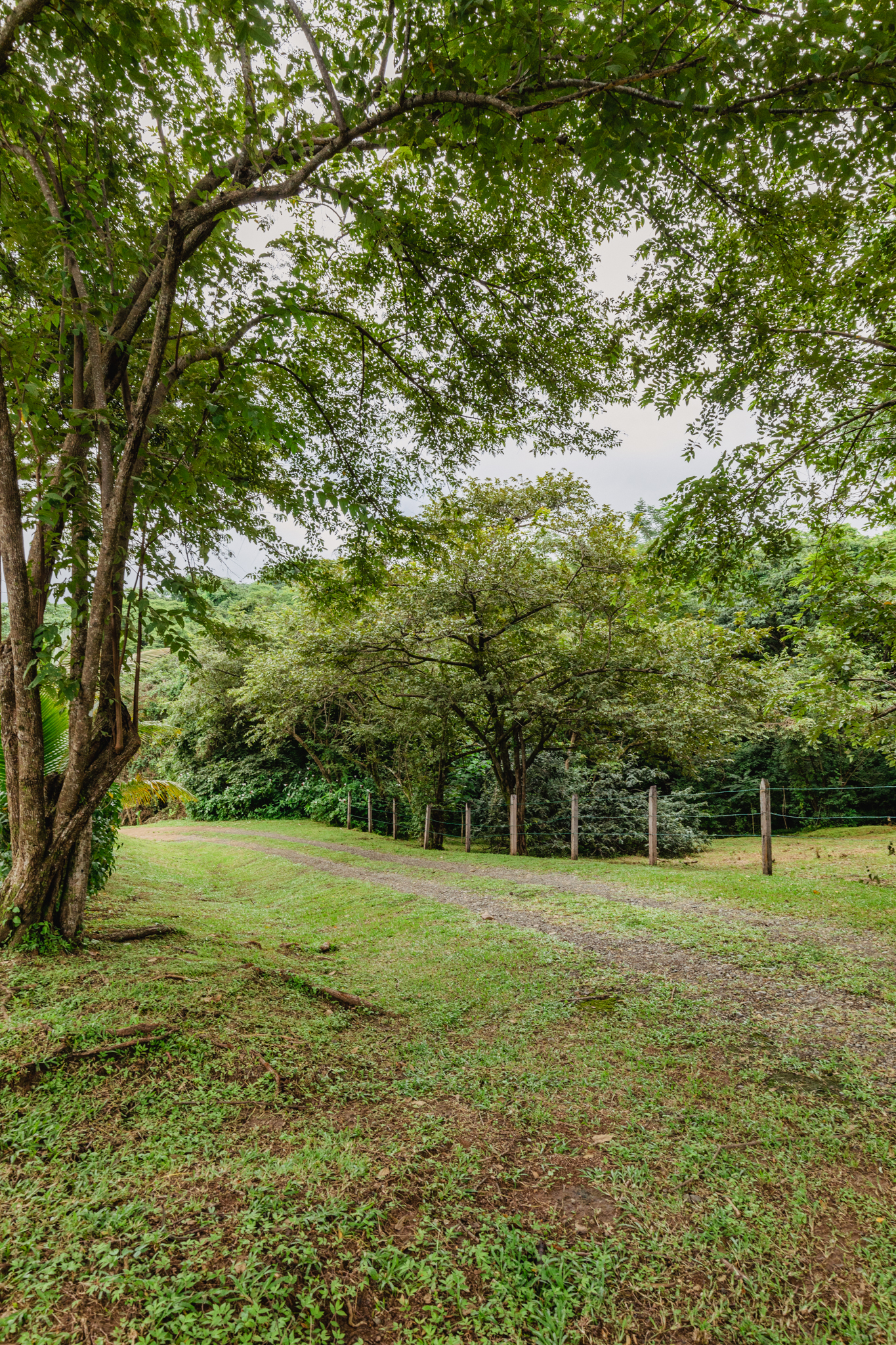 2 bed Single Family Homes For Sale in Nosara, Guanacaste - thumb 18