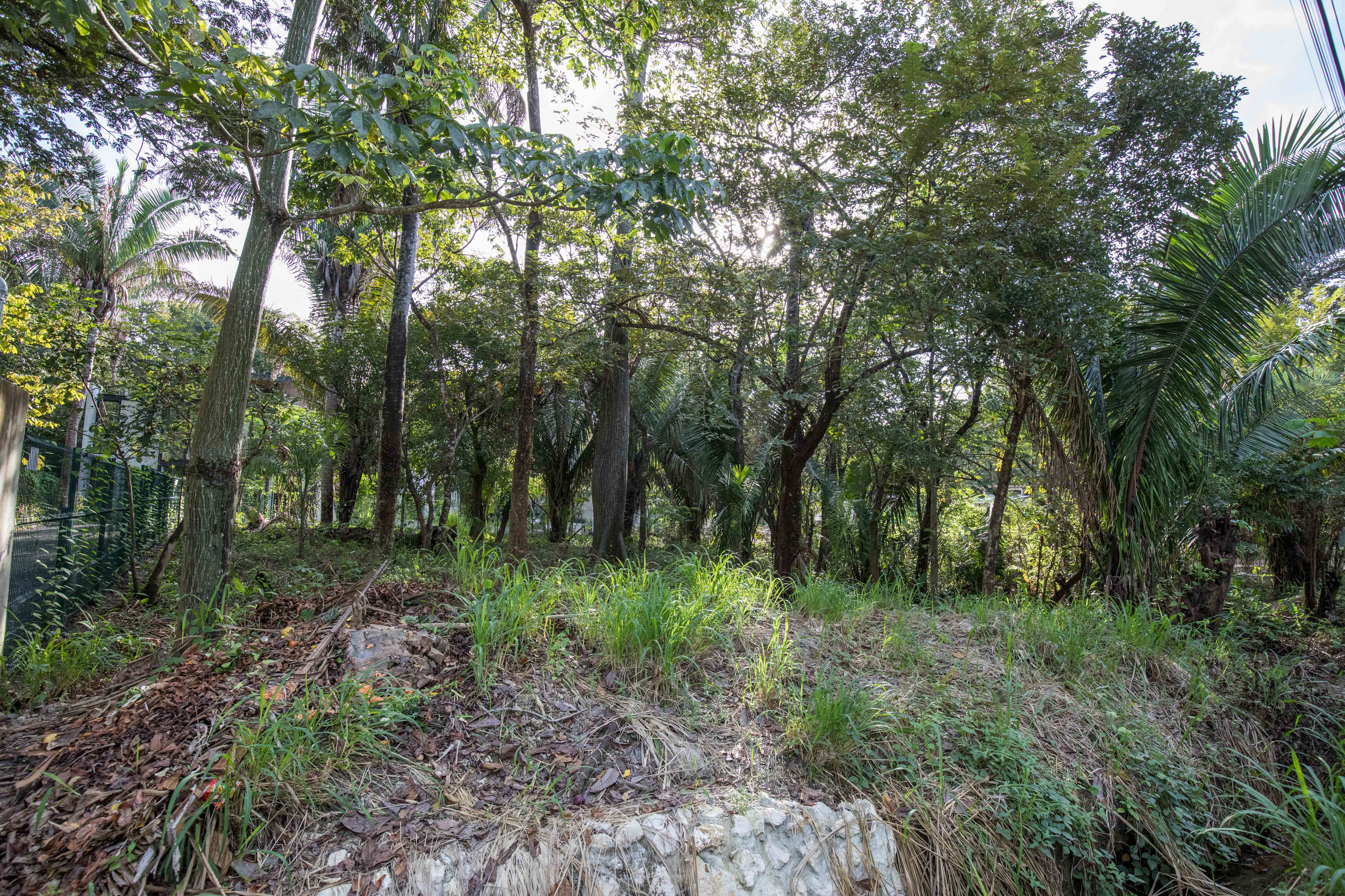 0 bed Land For Sale in Nosara, Guanacaste - thumb 6