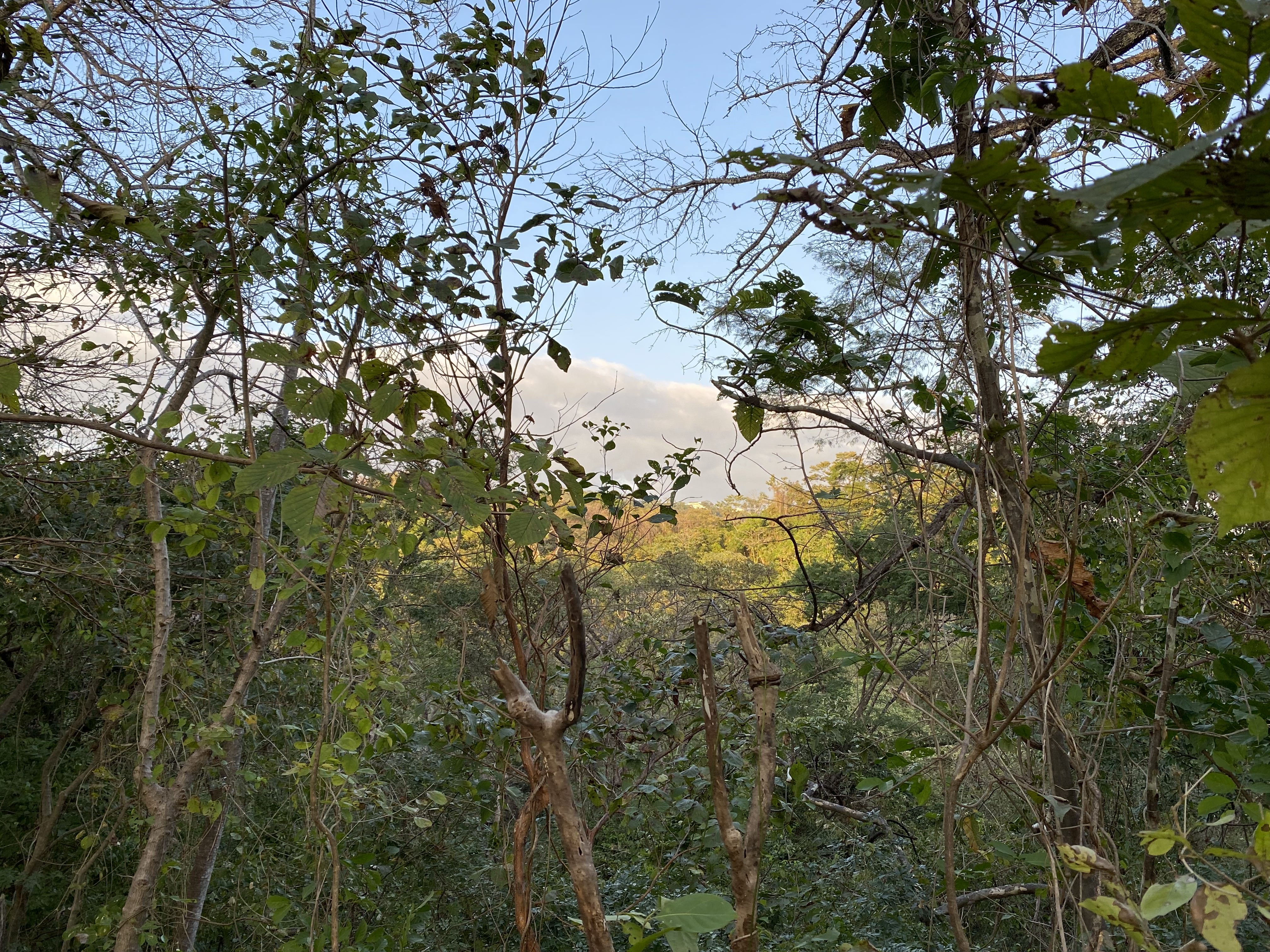 0 bed Land For Sale in Nosara, Guanacaste - thumb 11
