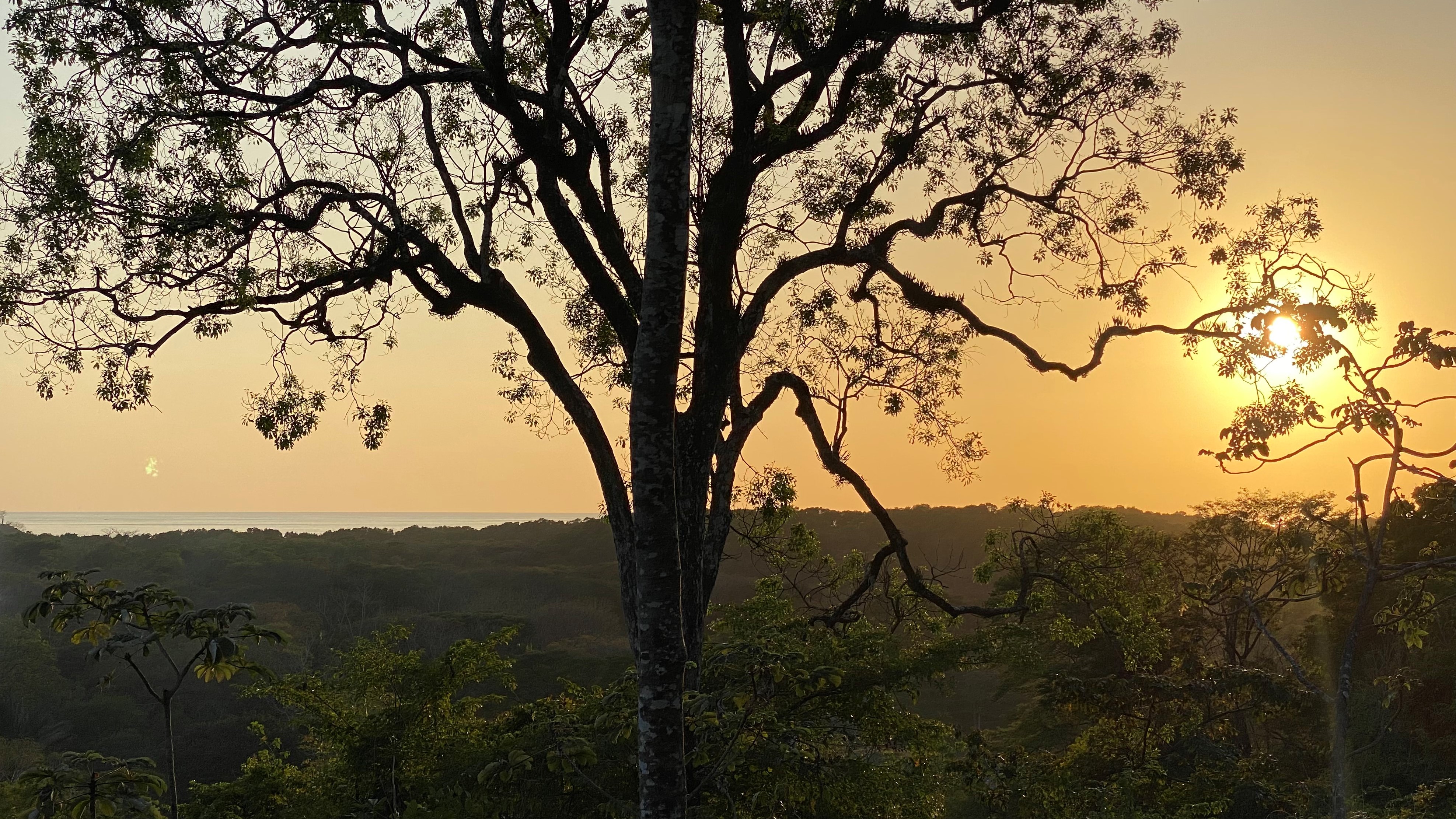 0 bed Land For Sale in Nosara, Guanacaste - thumb 1