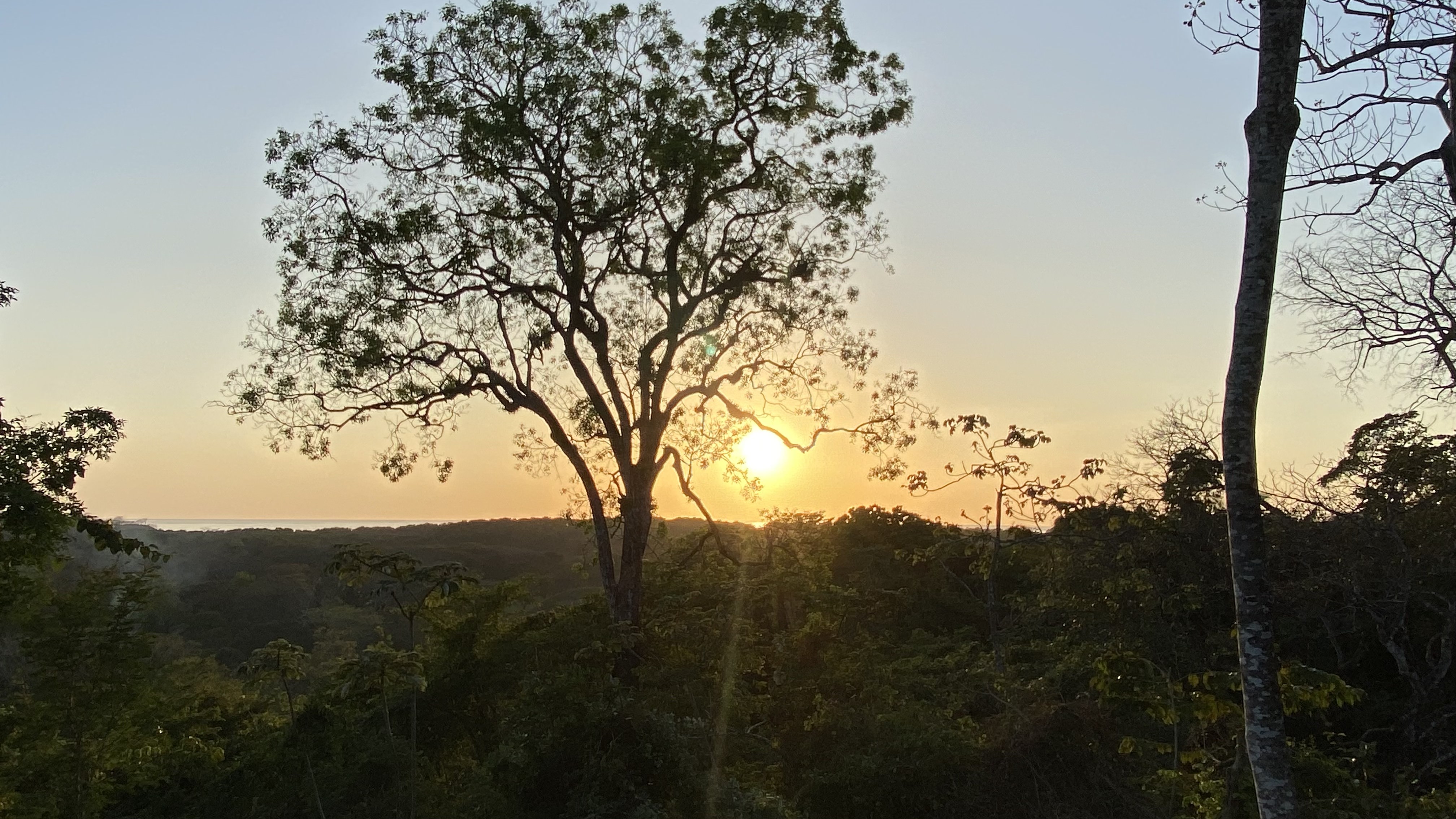 0 bed Land For Sale in Nosara, Guanacaste - thumb 3