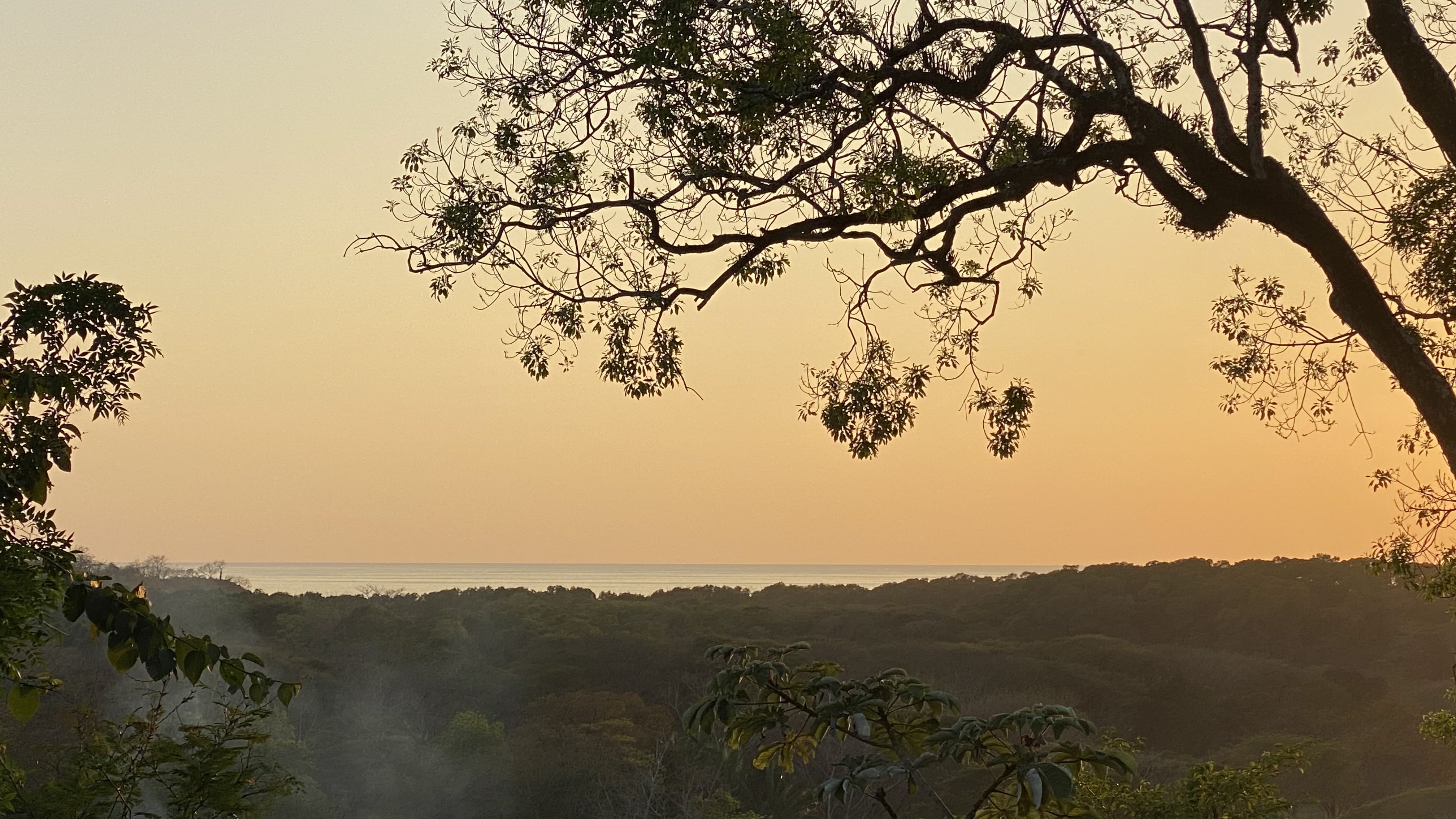 0 bed Land For Sale in Nosara, Guanacaste - thumb 4