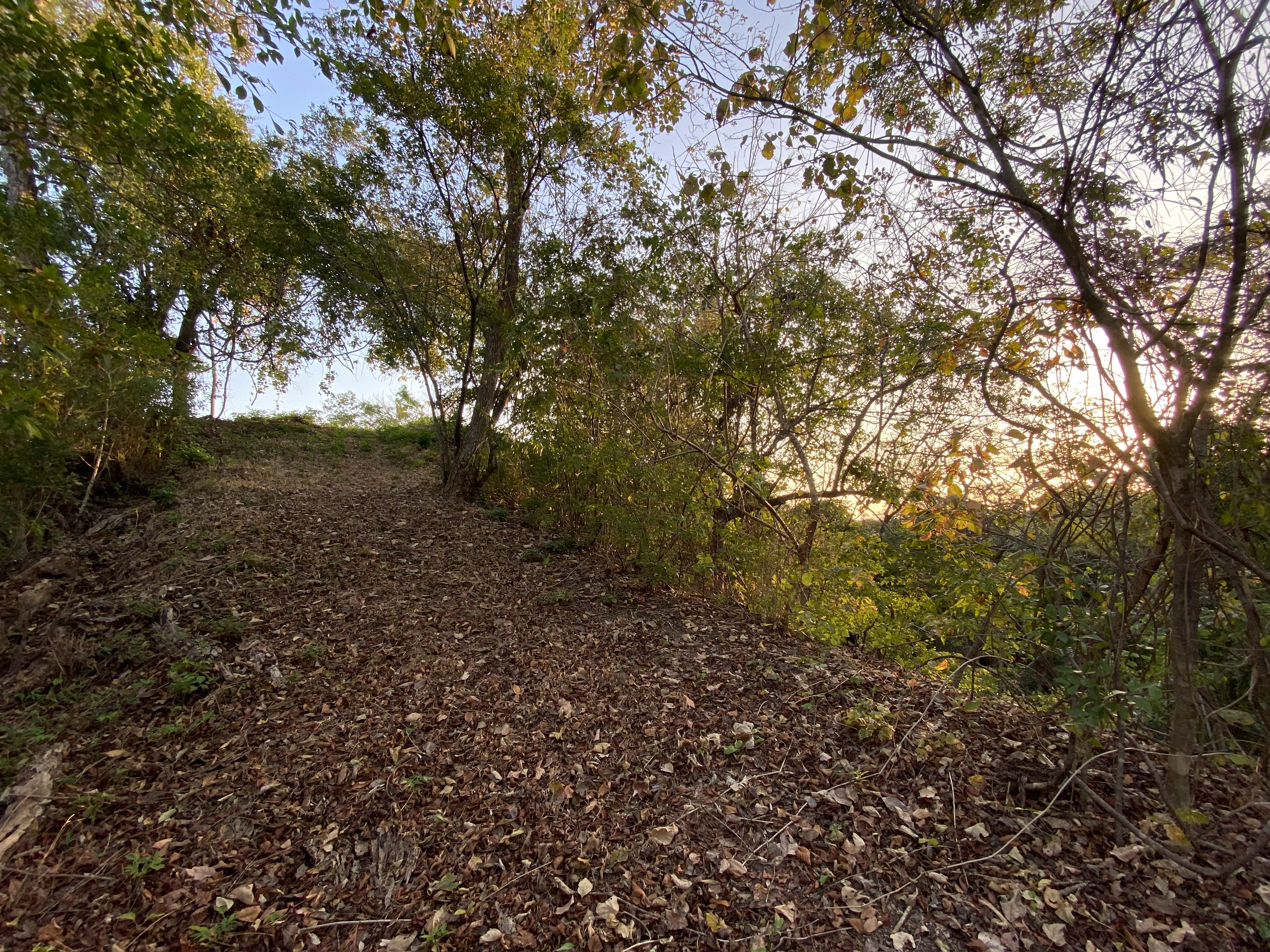 0 bed Land For Sale in Nosara, Guanacaste - thumb 9