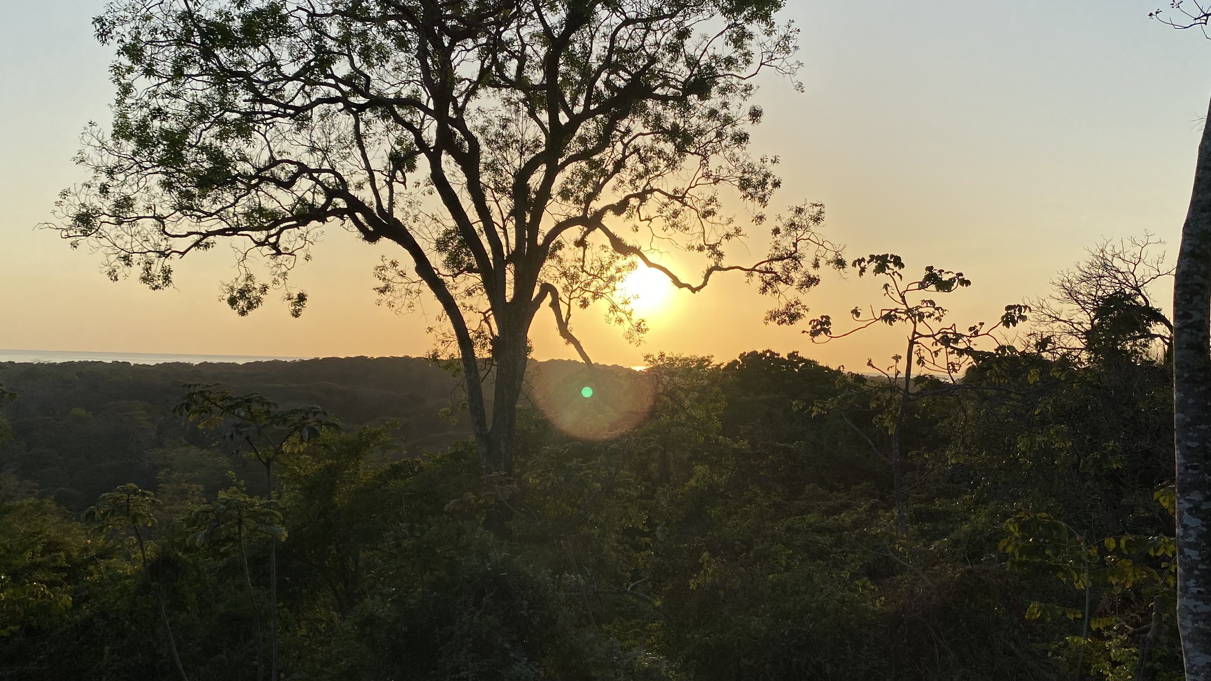 0 bed Land For Sale in Nosara, Guanacaste - thumb 2