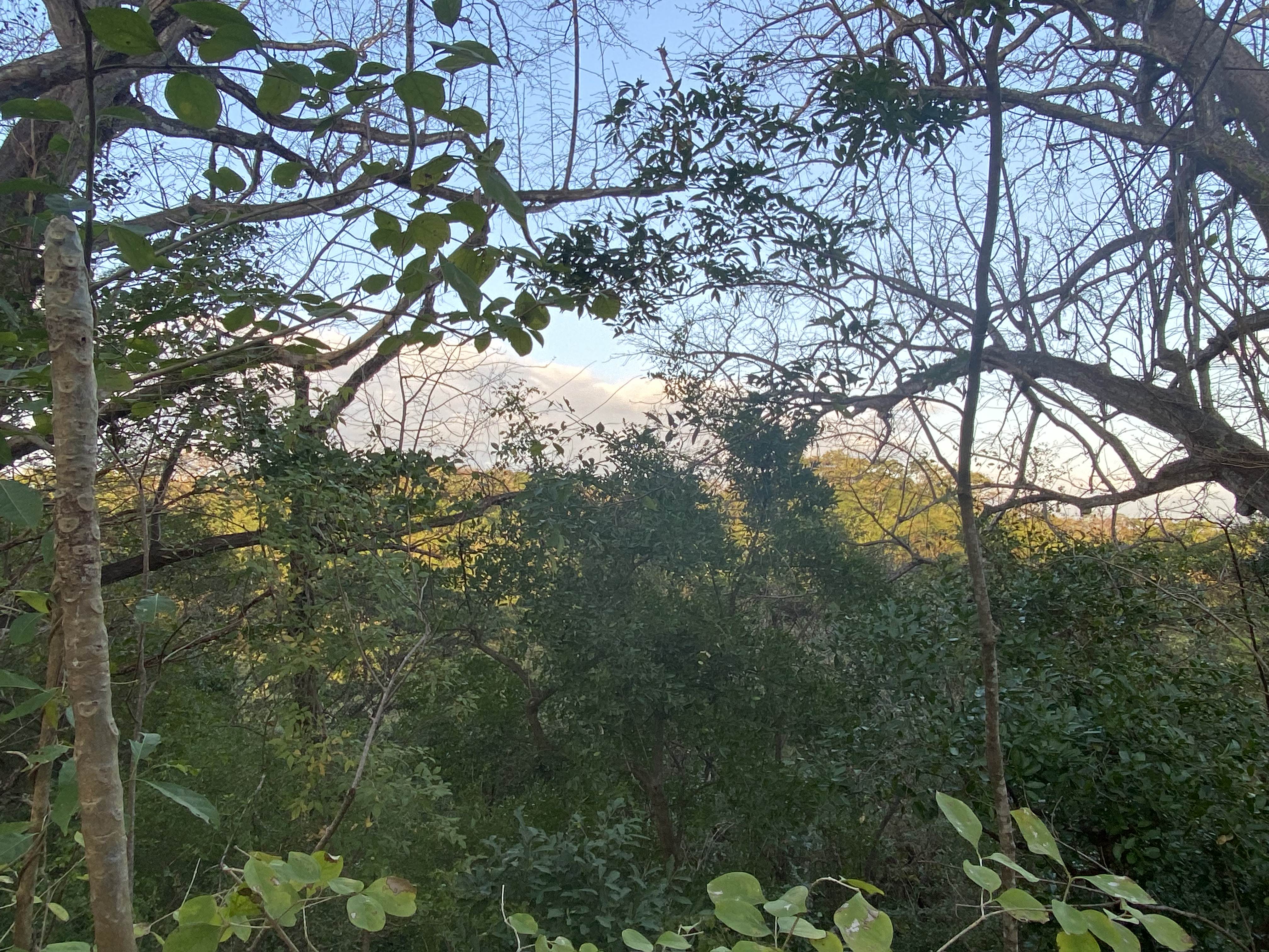 0 bed Land For Sale in Nosara, Guanacaste - thumb 10