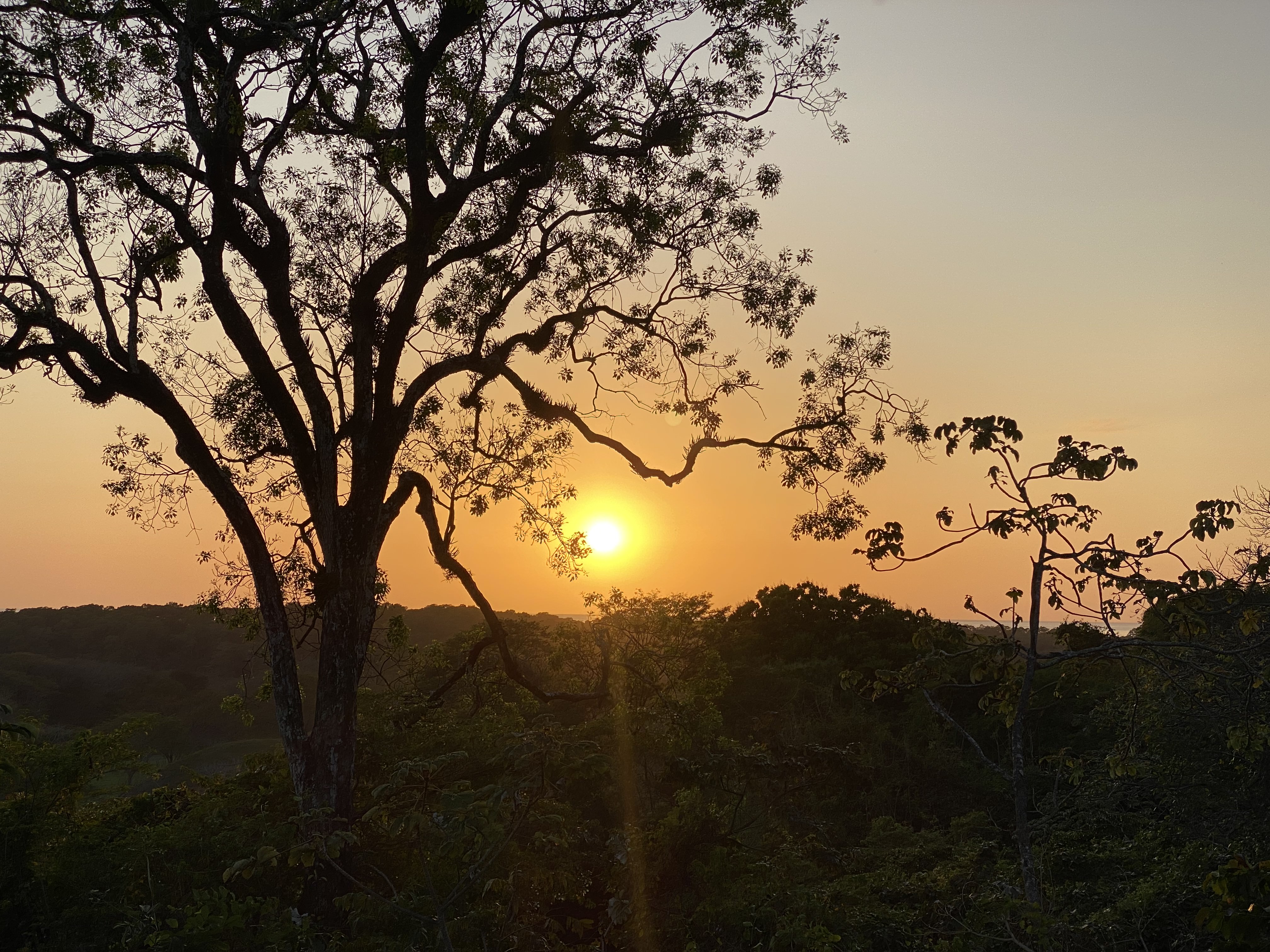0 bed Land For Sale in Nosara, Guanacaste - thumb 5