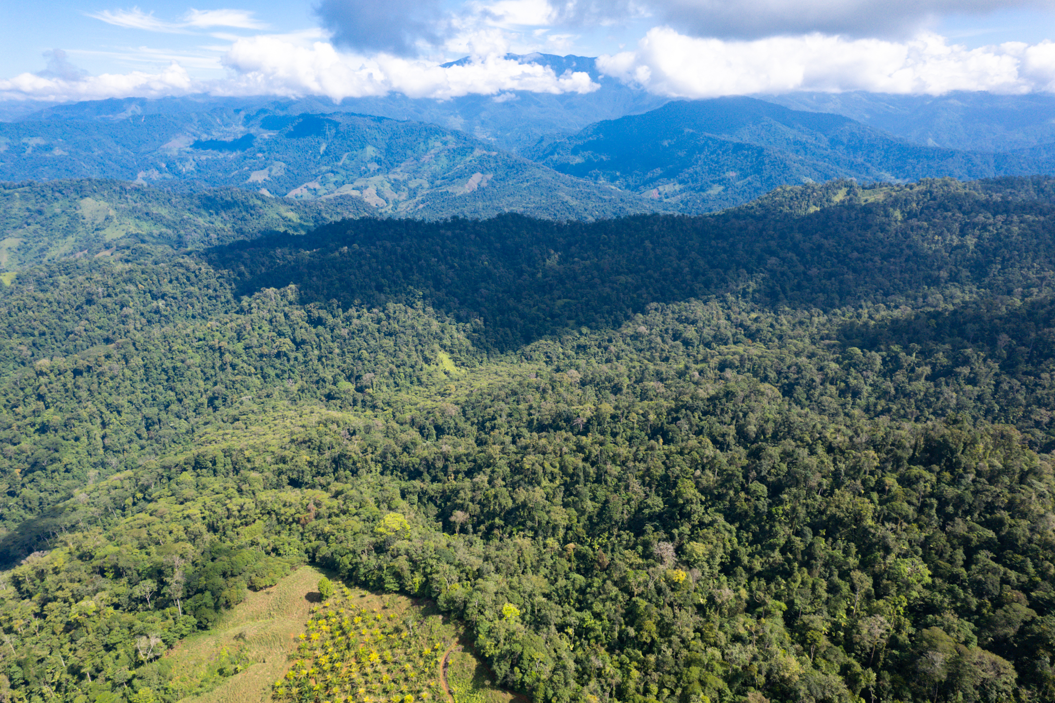 0 bed Land For Sale in Quepos, Puntarenas - thumb 12