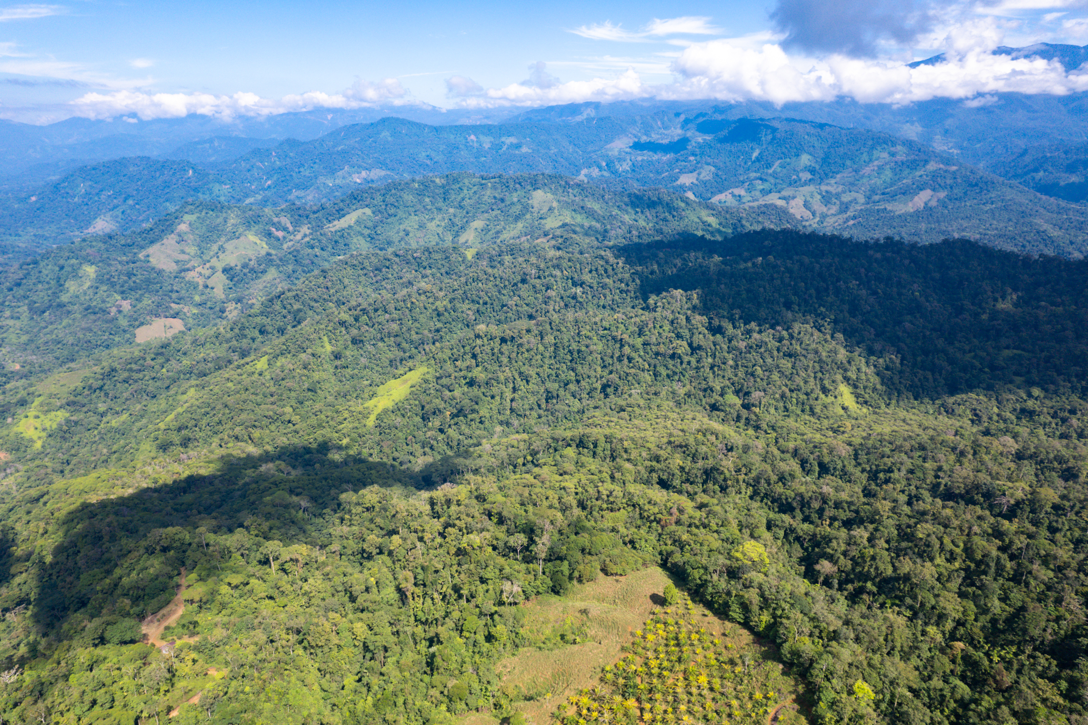 0 bed Land For Sale in Quepos, Puntarenas - thumb 13