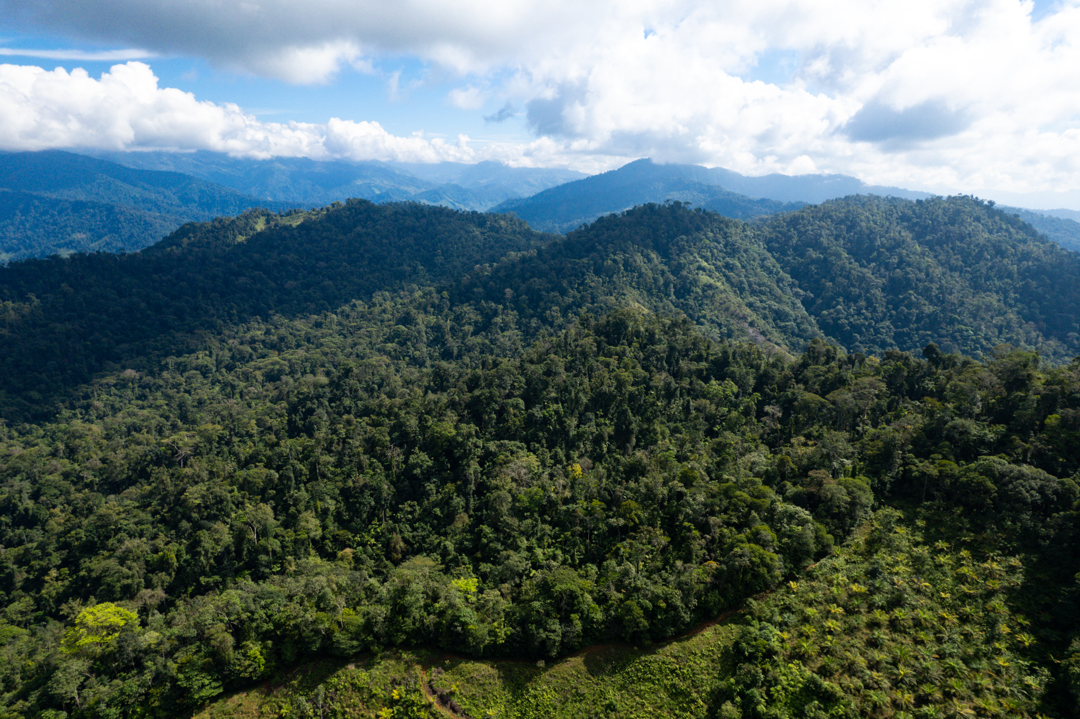 0 bed Land For Sale in Quepos, Puntarenas - thumb 7