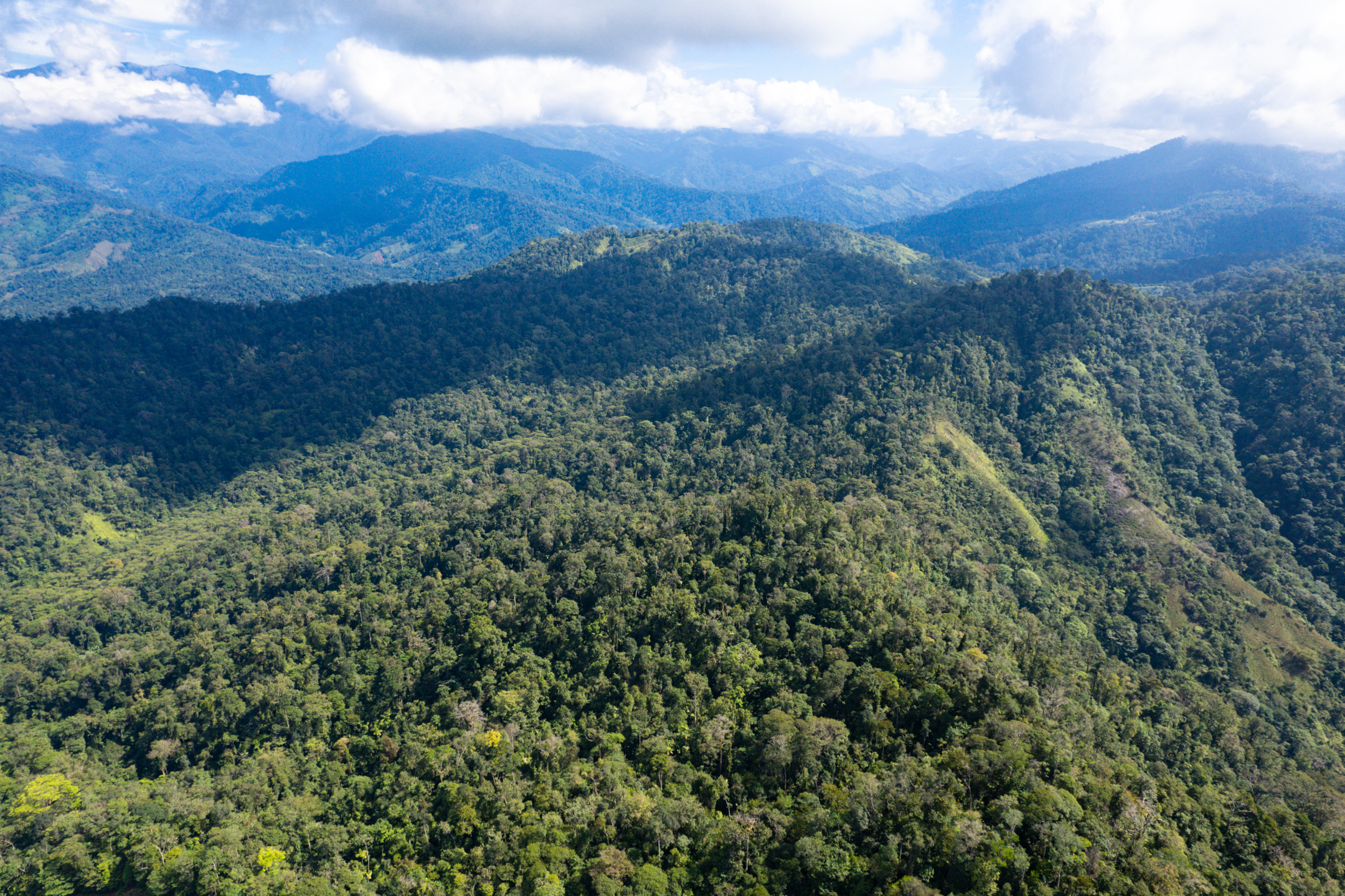 0 bed Land For Sale in Quepos, Puntarenas - thumb 11