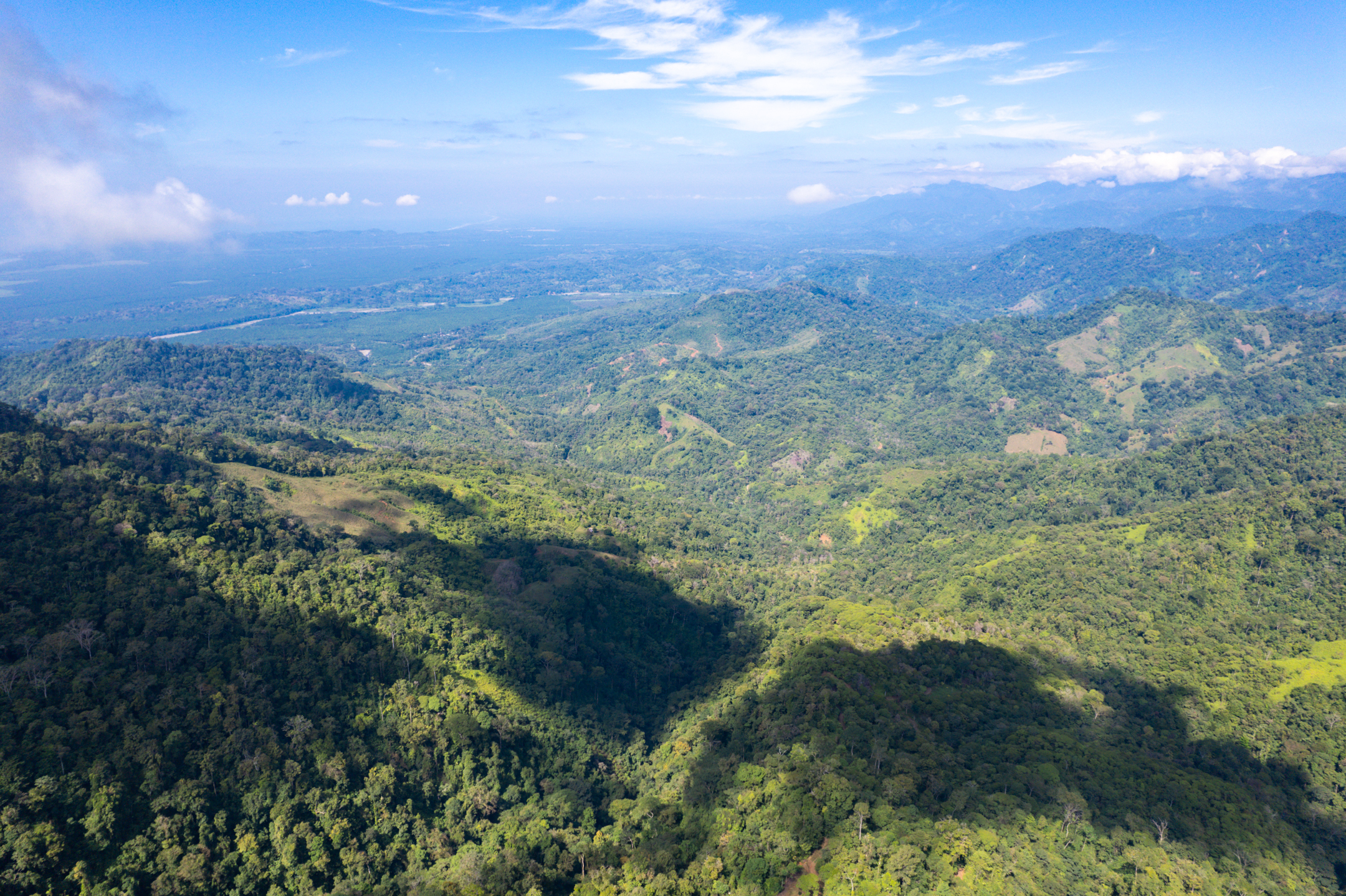 0 bed Land For Sale in Quepos, Puntarenas - thumb 15