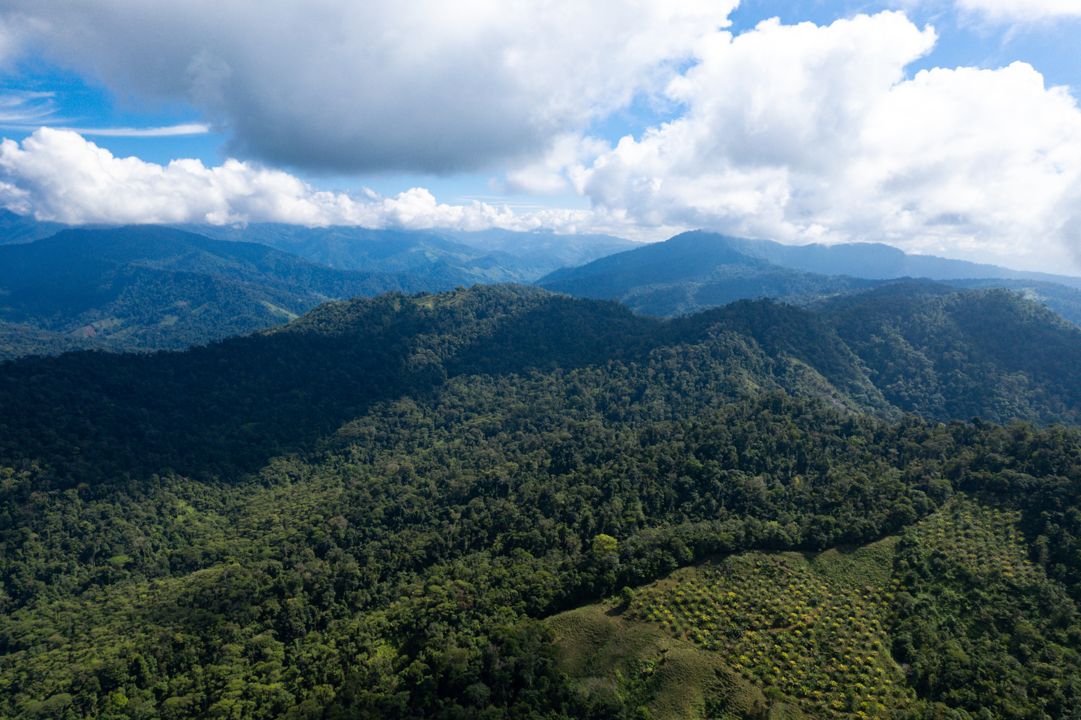 0 bed Land For Sale in Quepos, Puntarenas - thumb 16