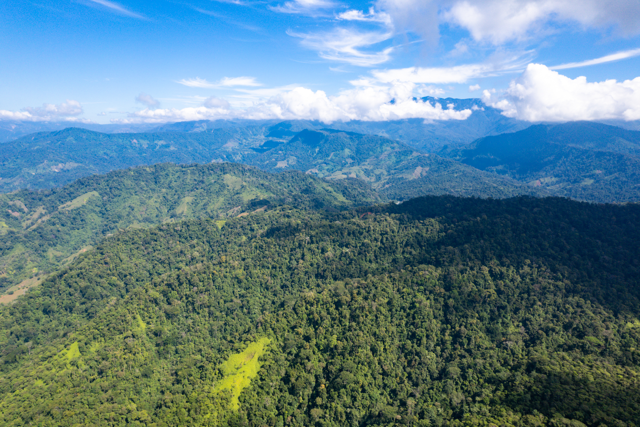 0 bed Land For Sale in Quepos, Puntarenas - thumb 4