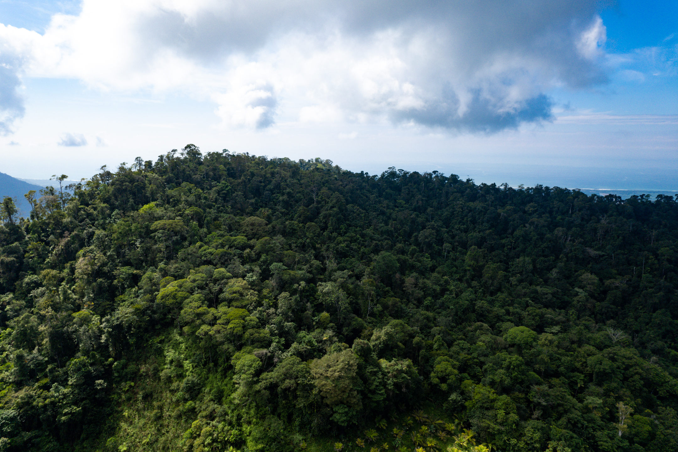 0 bed Land For Sale in Quepos, Puntarenas - thumb 20