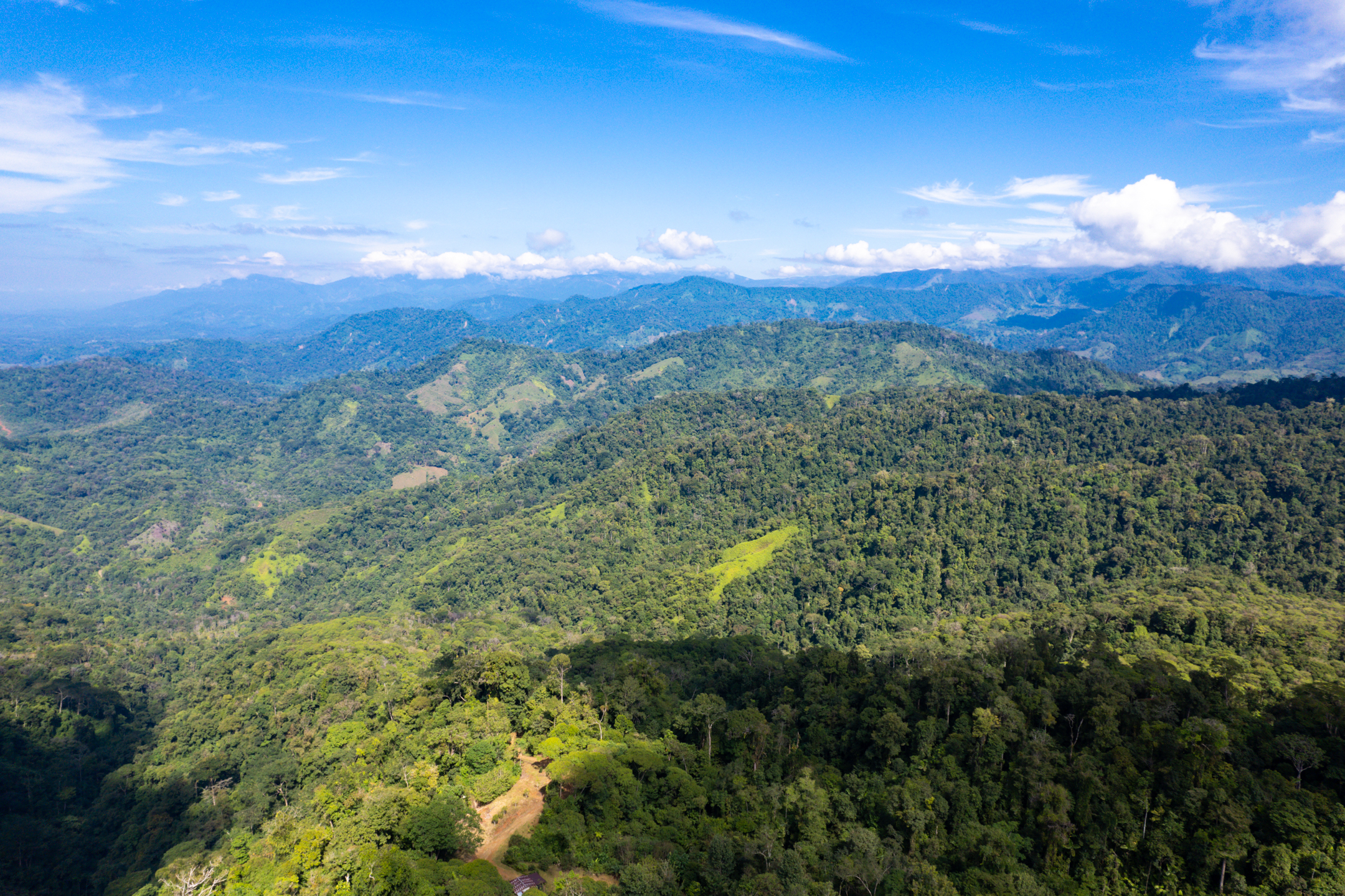 0 bed Land For Sale in Quepos, Puntarenas - thumb 6