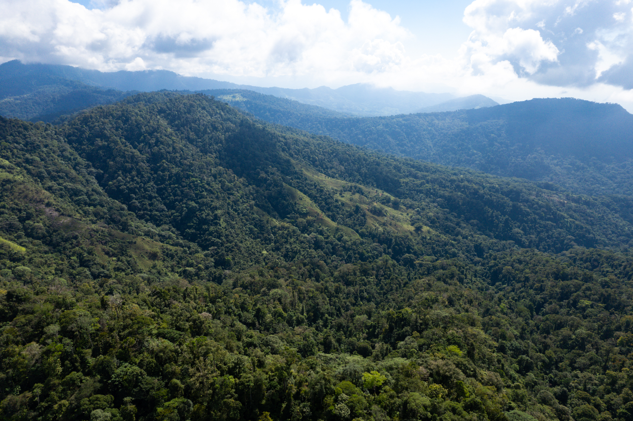 0 bed Land For Sale in Quepos, Puntarenas - thumb 10