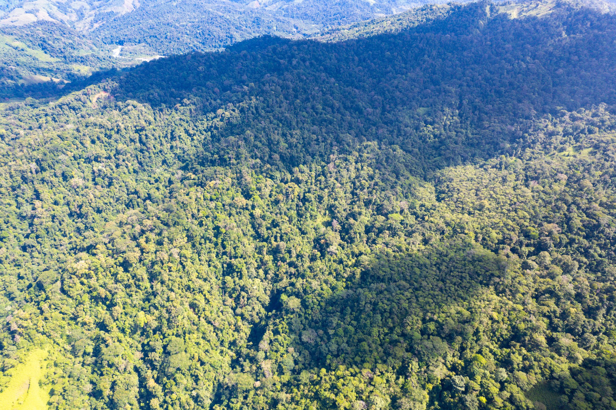 0 bed Land For Sale in Quepos, Puntarenas - thumb 17