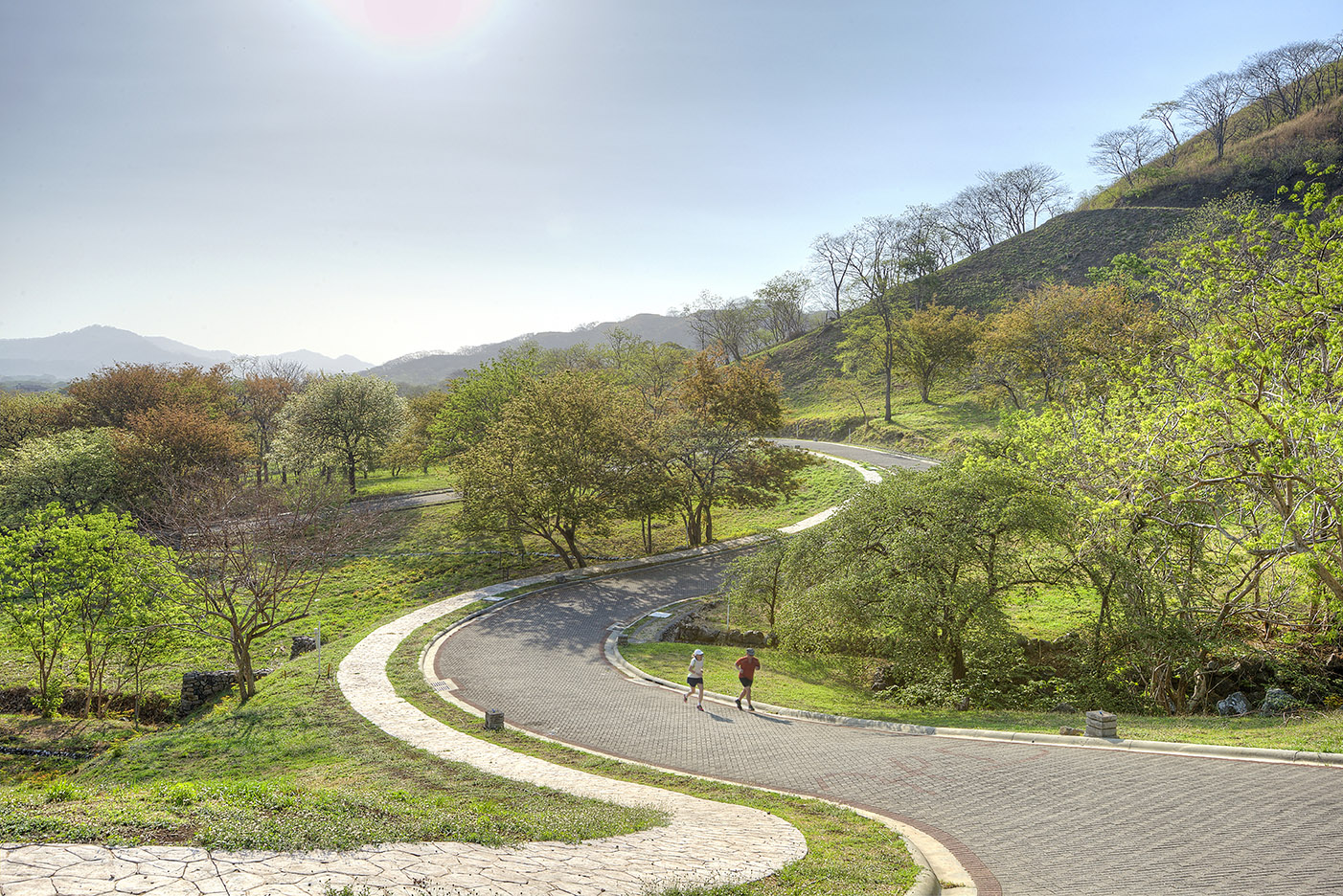 4 bed Single Family Homes For Sale in Tamarindo, Guanacaste - thumb 10