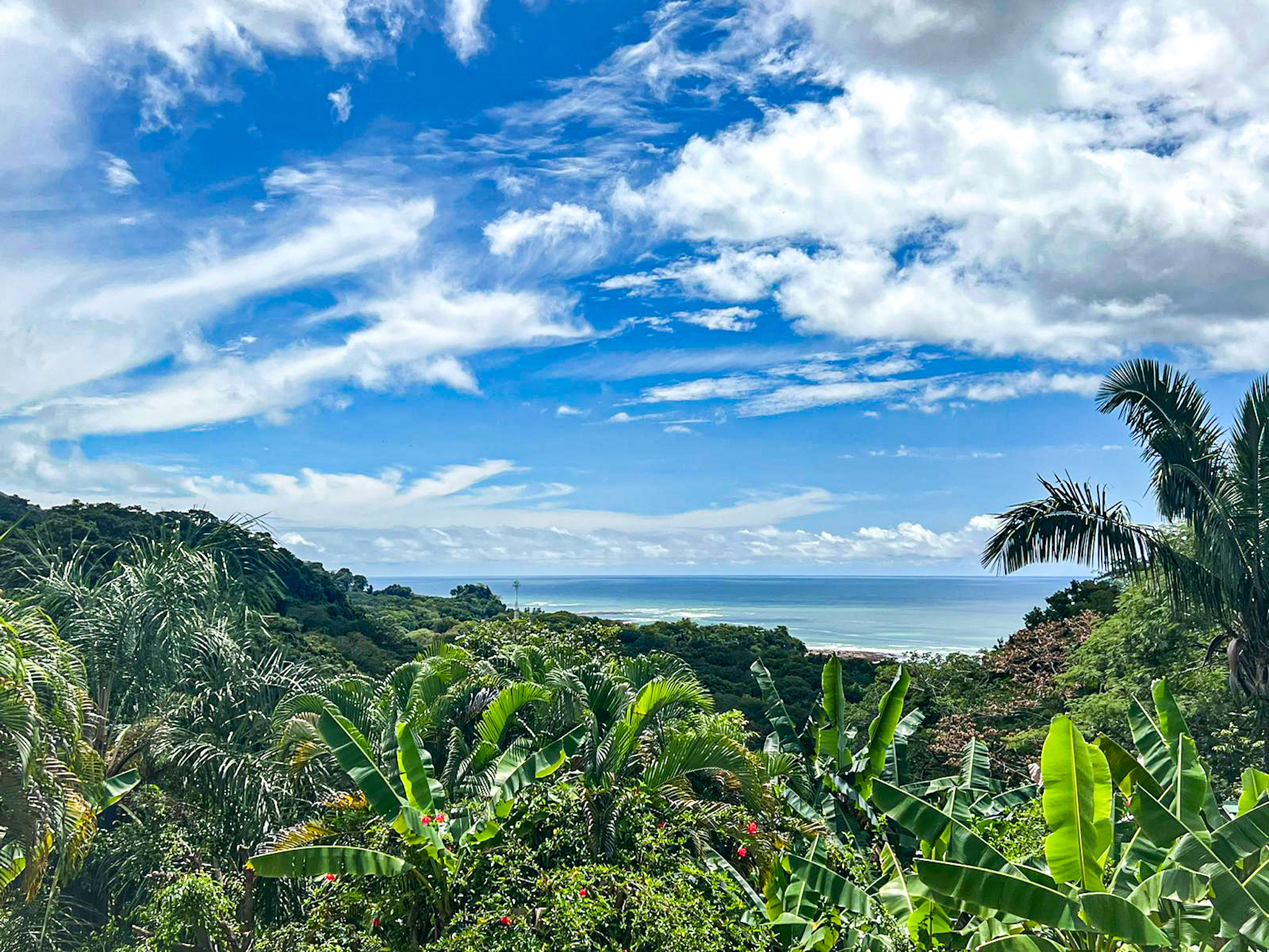 10 bed Hotel / Leisure For Sale in Malpais, Puntarenas - thumb 11