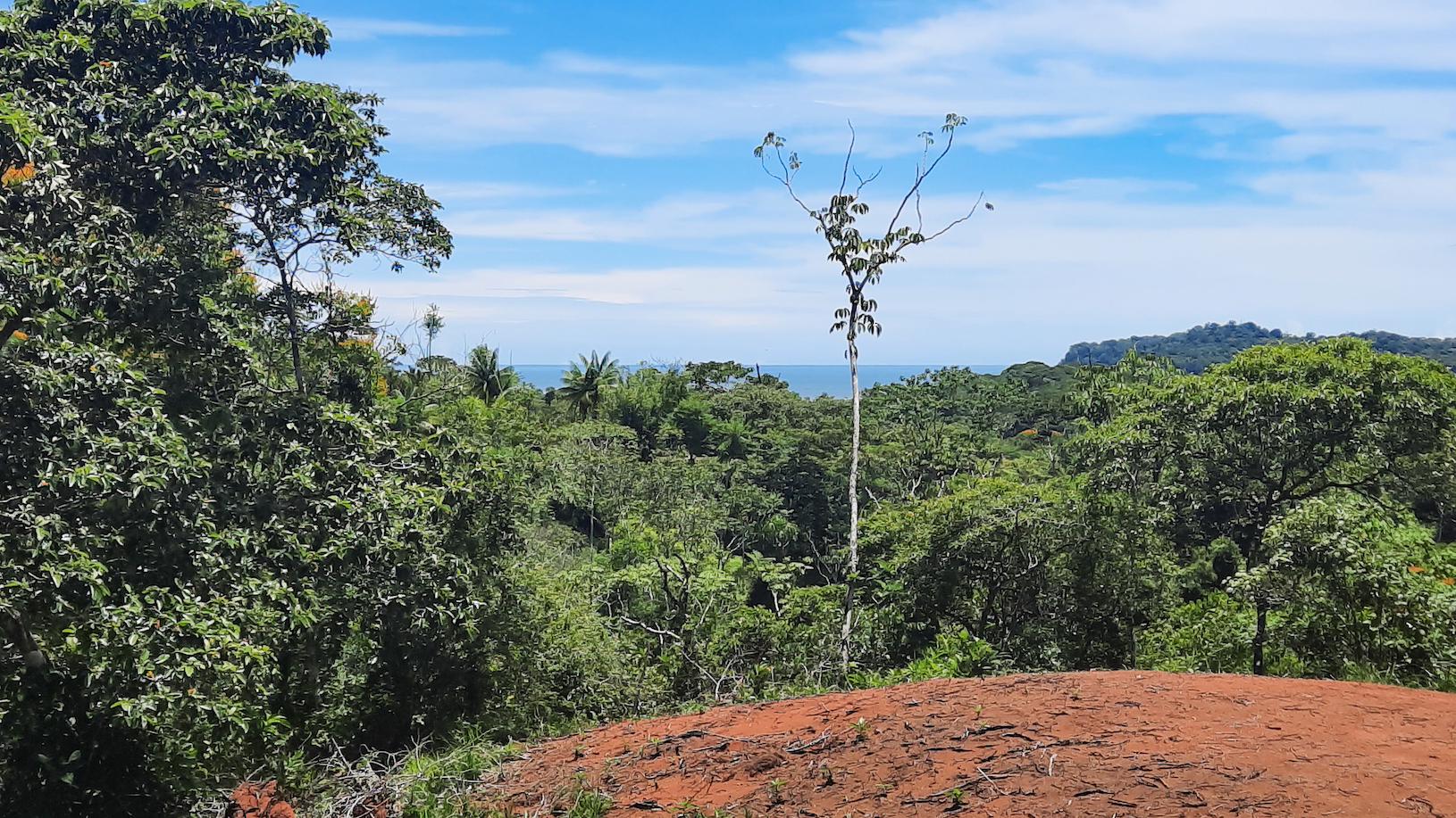 0 bed Land For Sale in Ojochal, Puntarenas - thumb 2