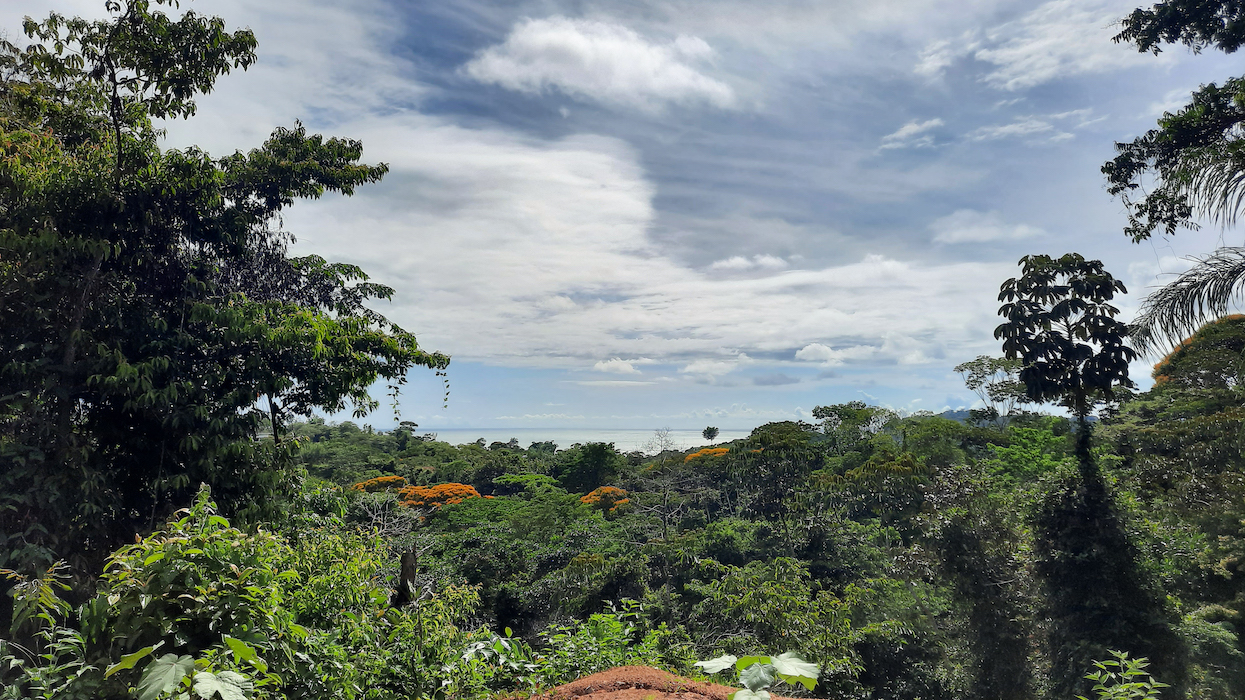 0 bed Land For Sale in Ojochal, Puntarenas - thumb 3