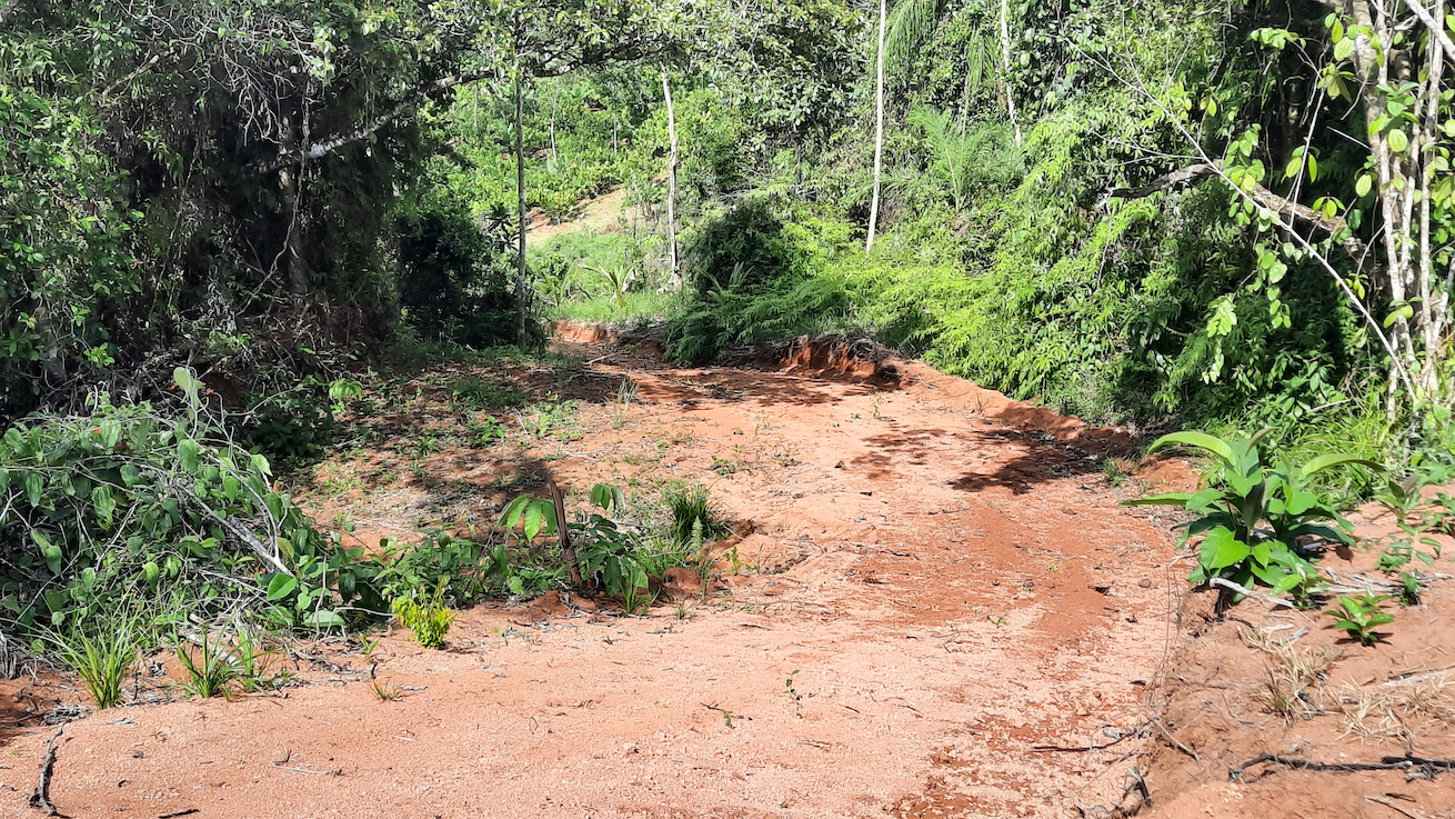 0 bed Land For Sale in Ojochal, Puntarenas - thumb 7