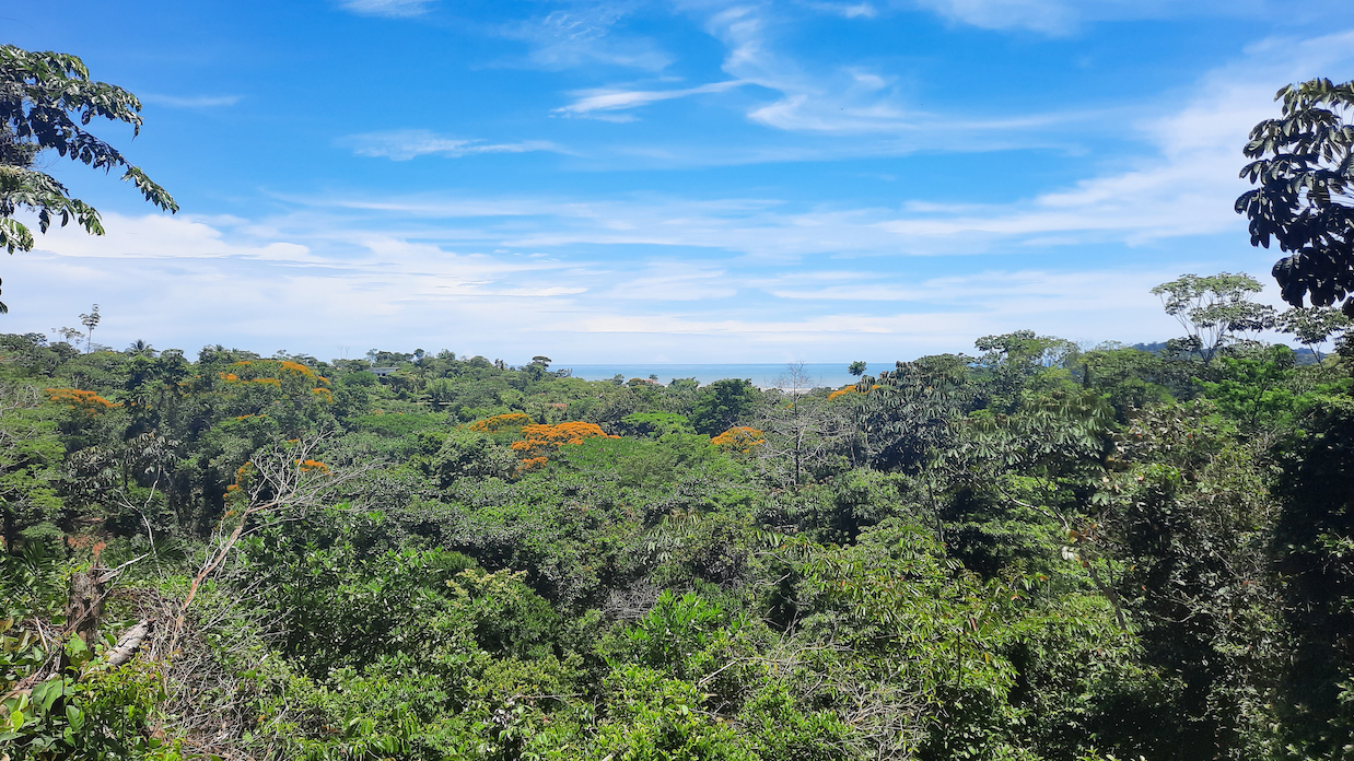 0 bed Land For Sale in Ojochal, Puntarenas - thumb 11