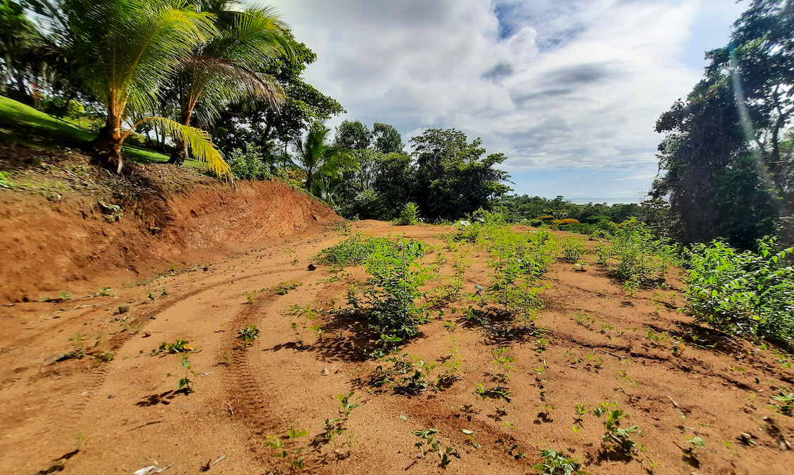 0 bed Land For Sale in Ojochal, Puntarenas - thumb 5