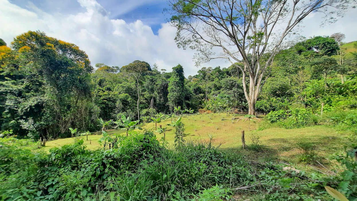 0 bed Land For Sale in Ojochal, Puntarenas - thumb 9