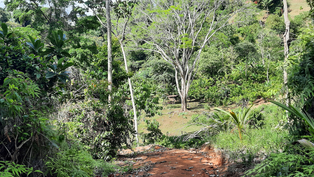 0 bed Land For Sale in Ojochal, Puntarenas - thumb 8