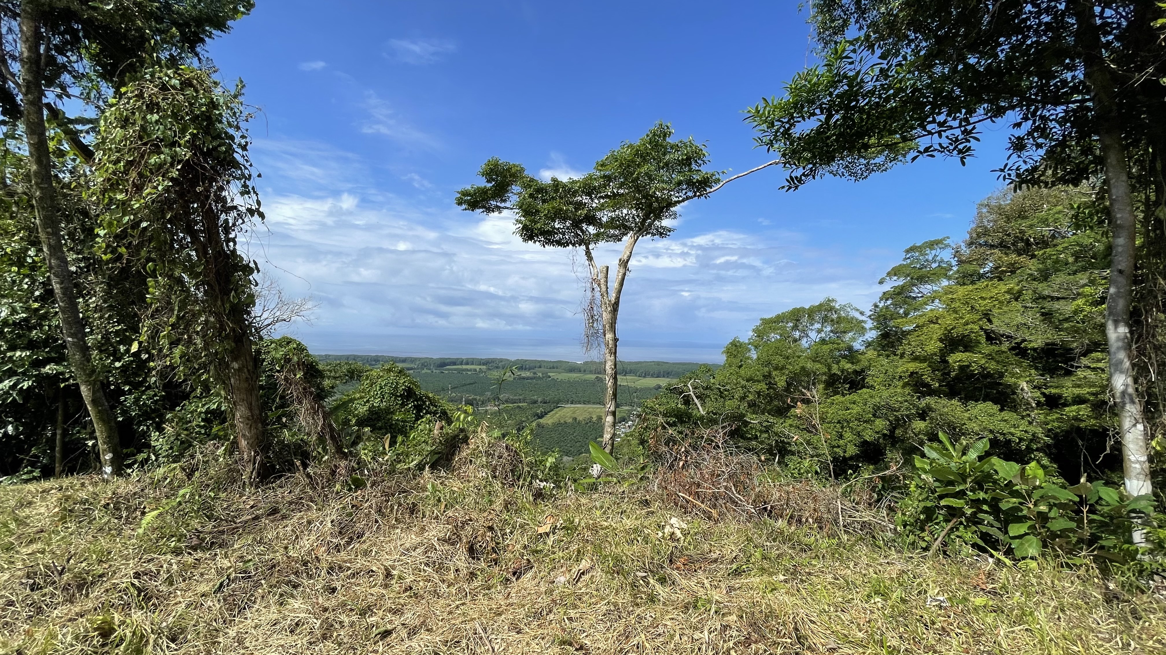 0 bed Land For Sale in Dominical, Puntarenas - thumb 2