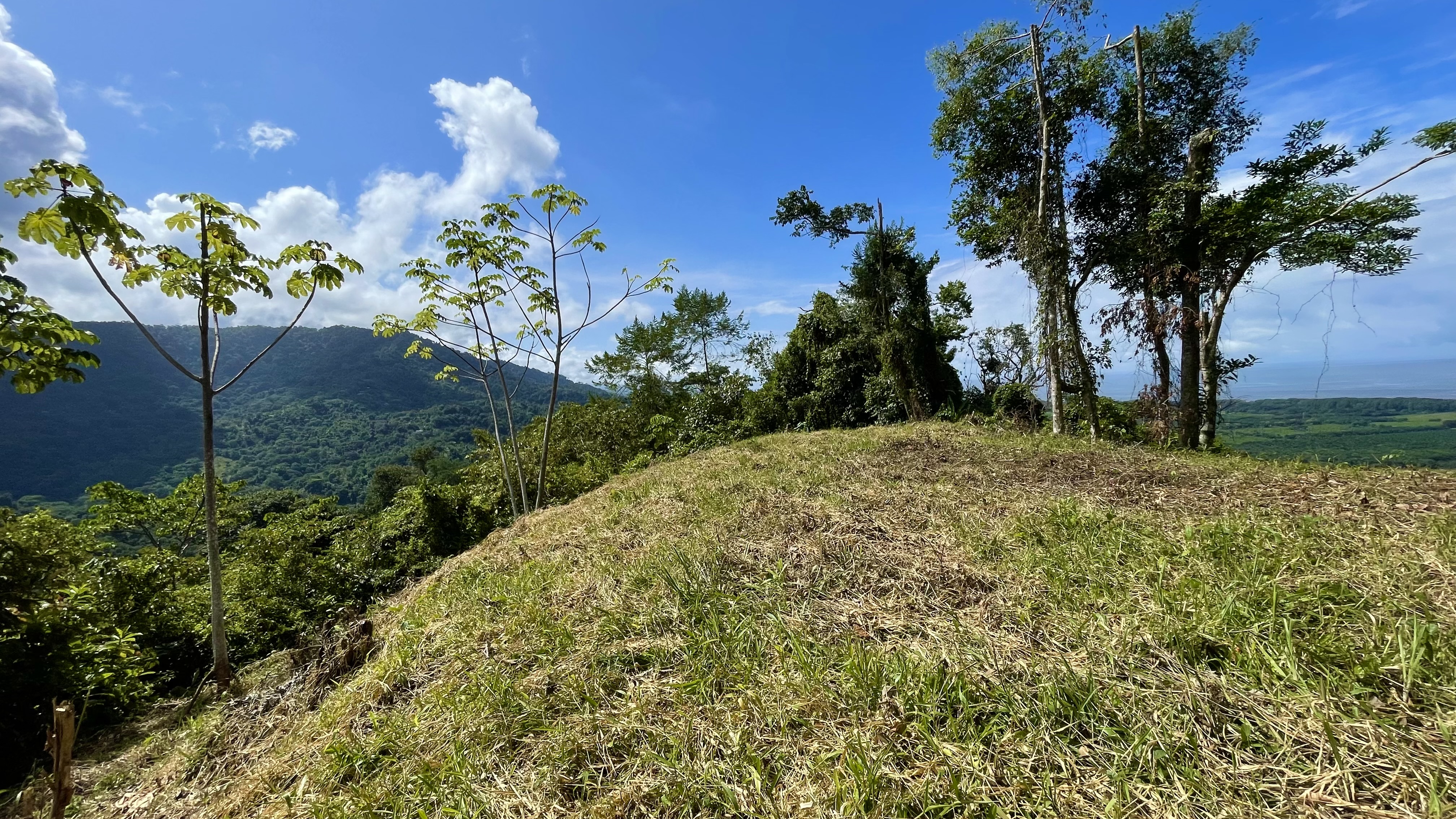 0 bed Land For Sale in Dominical, Puntarenas - thumb 4