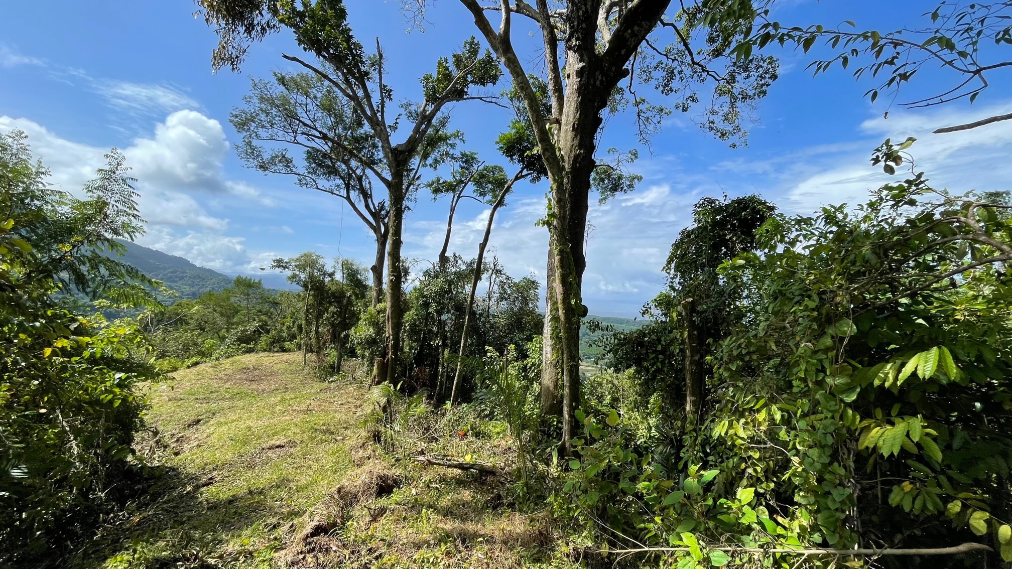 0 bed Land For Sale in Dominical, Puntarenas - thumb 5