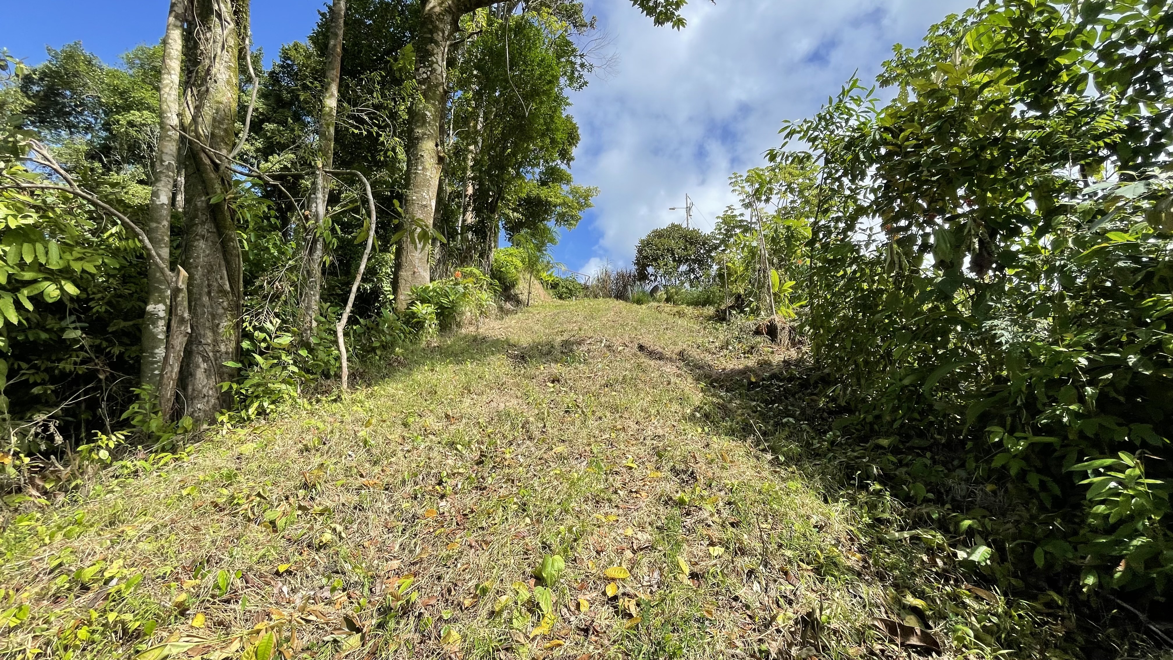 0 bed Land For Sale in Dominical, Puntarenas - thumb 10